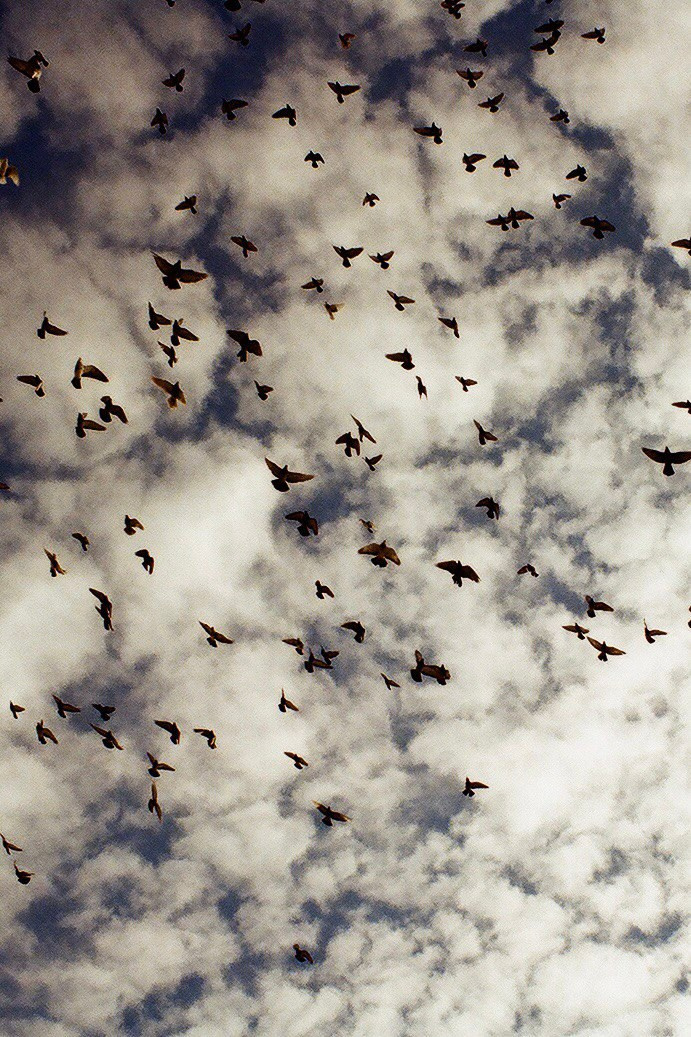 MOMENTS. Alyona Rubanova — Visual artist