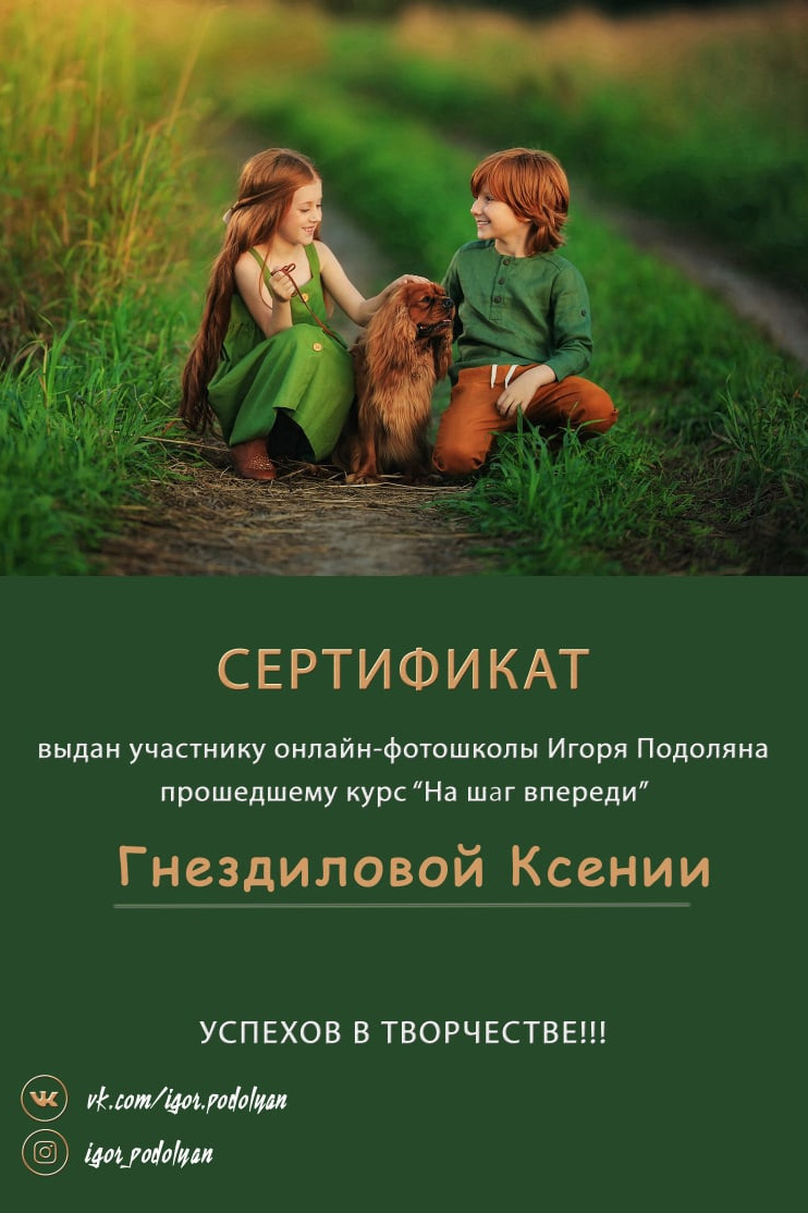 Обучение — дипломы — сертификаты. Главная