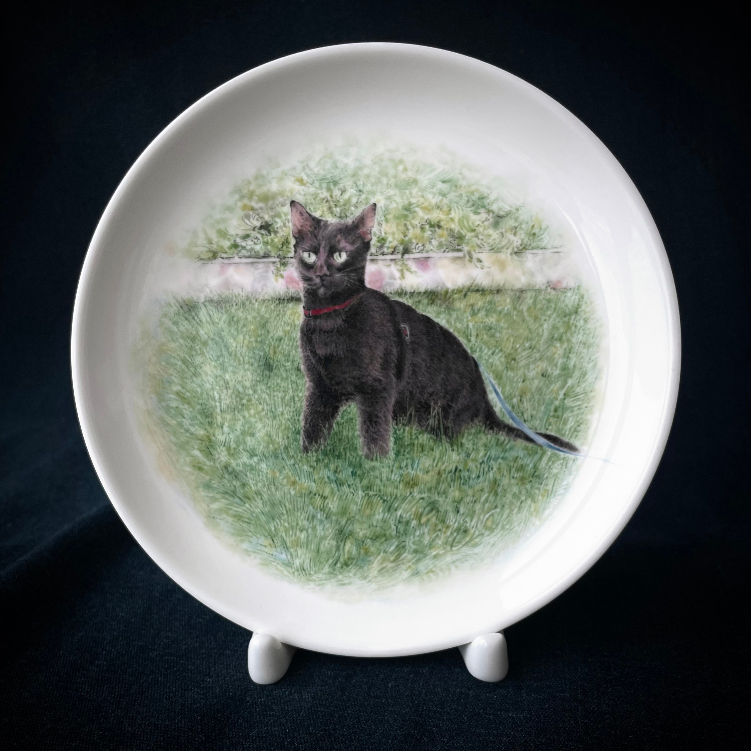 Ваш питомец на фарфоре. Роспись Фарфора в Санкт-Петербурге