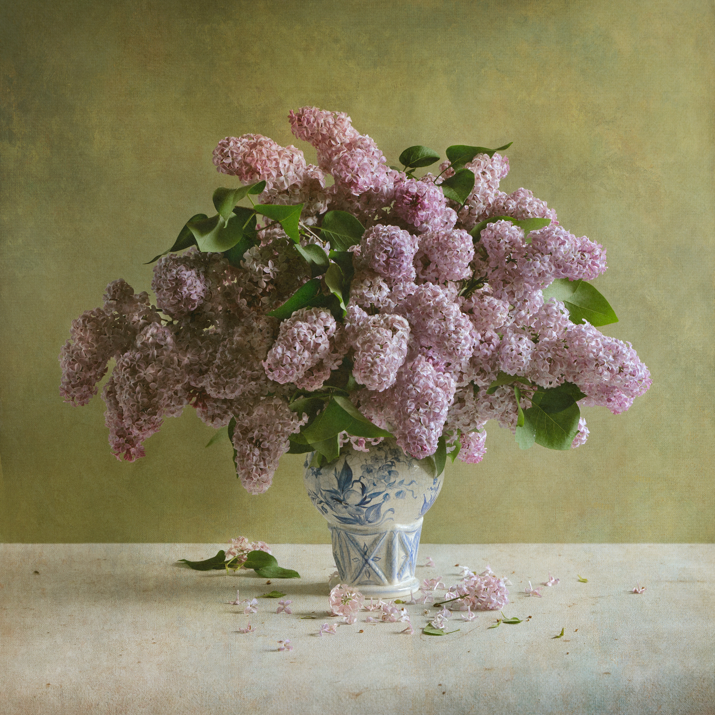 Услуги. Fine Art фотограф Альбина Бугарчева