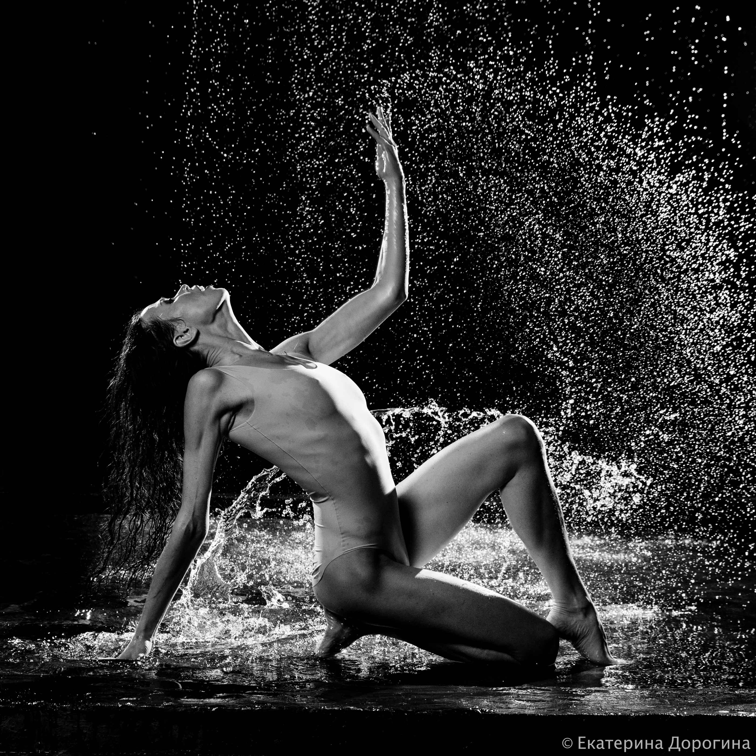 Контакты. Семейный, Свадебный и Детский фотограф в Москве Екатерина Дорогина