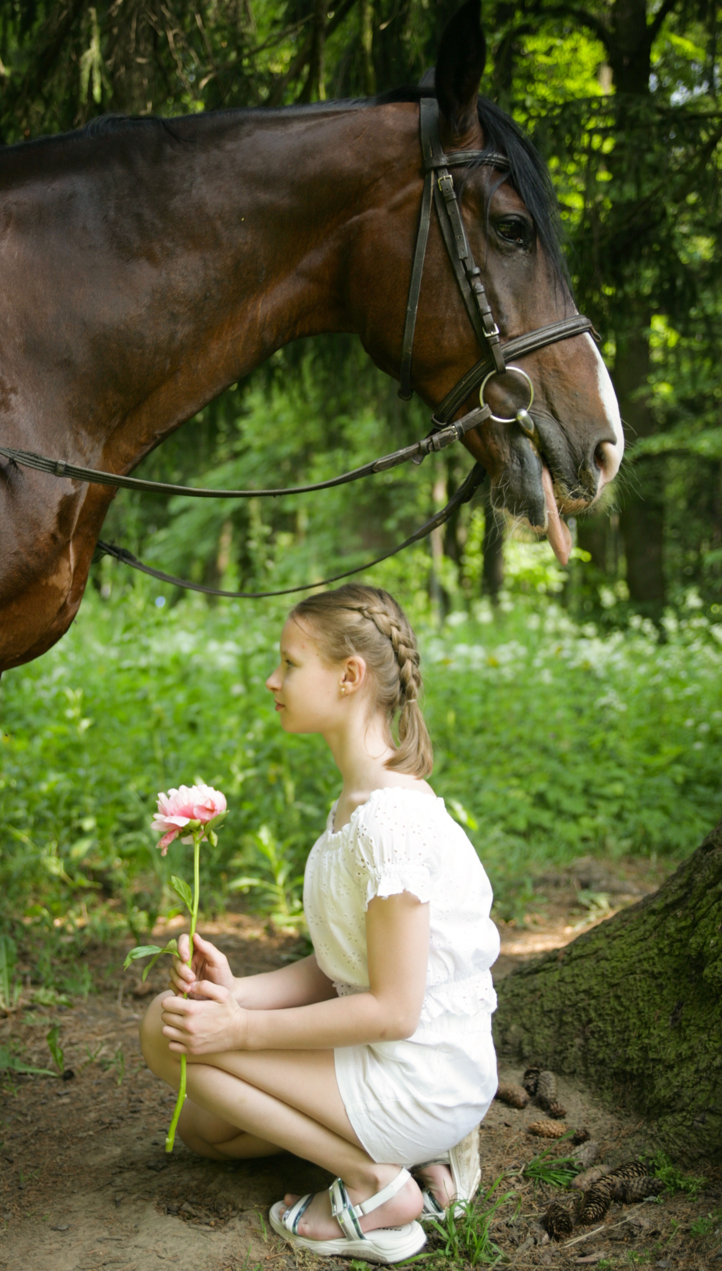 Фотограф с лошадьми в Москве