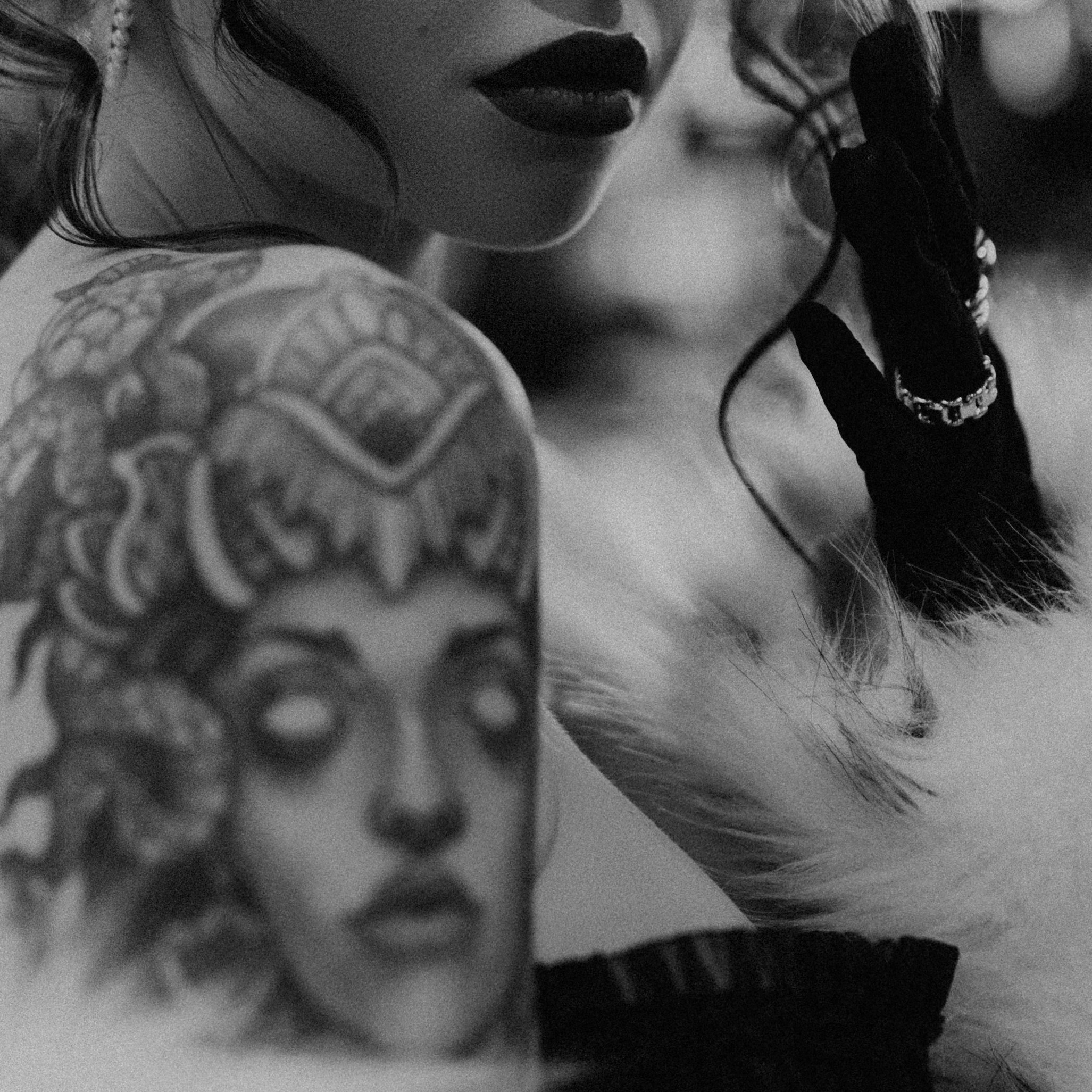 Пакеты. Фотограф Иваново Ольга Исакова