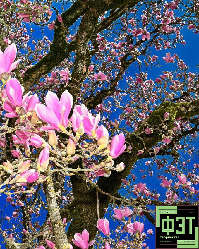 Наталья Переверзева