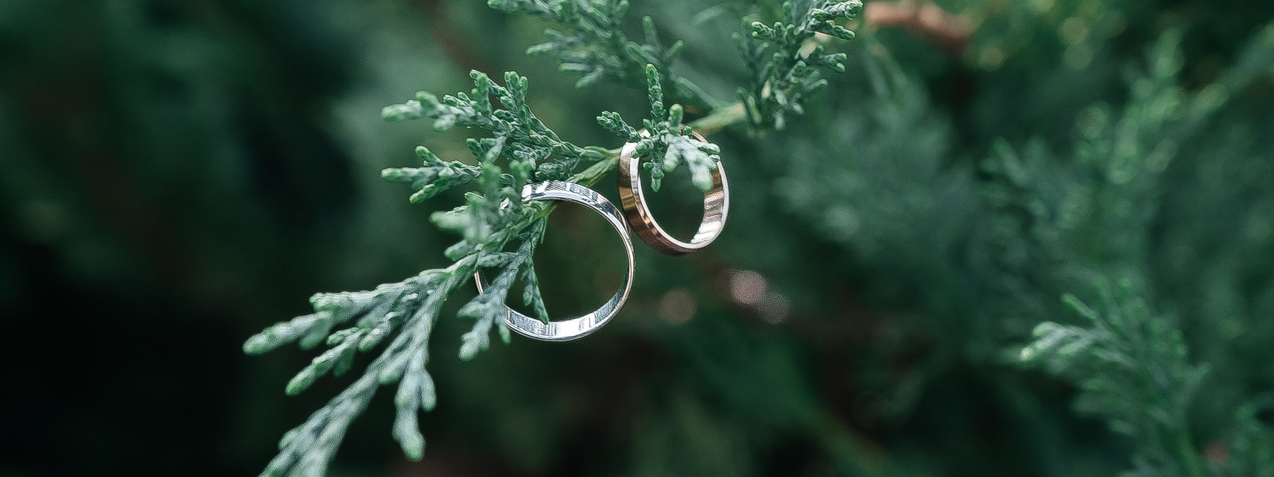 Прайс. Свадебный и семейный фотограф во Владивостоке Александра Глускер