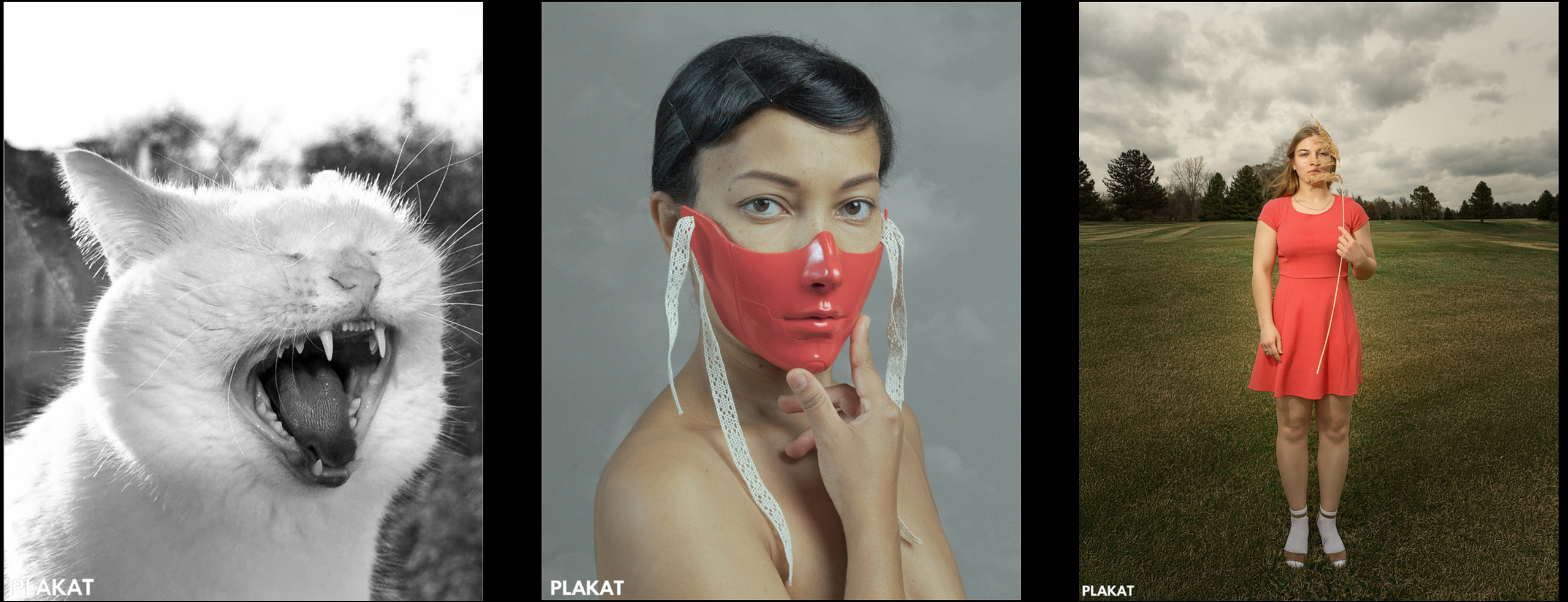 Plakat magazine. Art-photographer Ira Wind