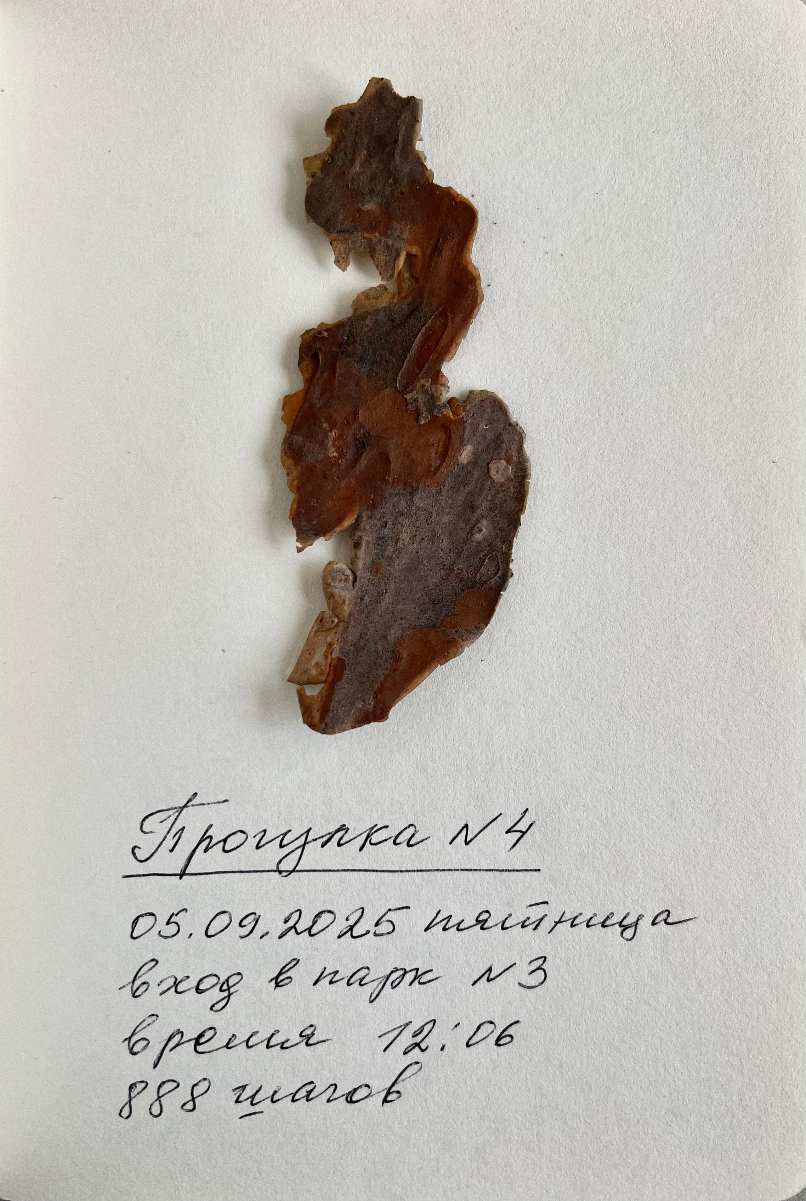 Анна Плотникова — Выйти из тени или личная археология