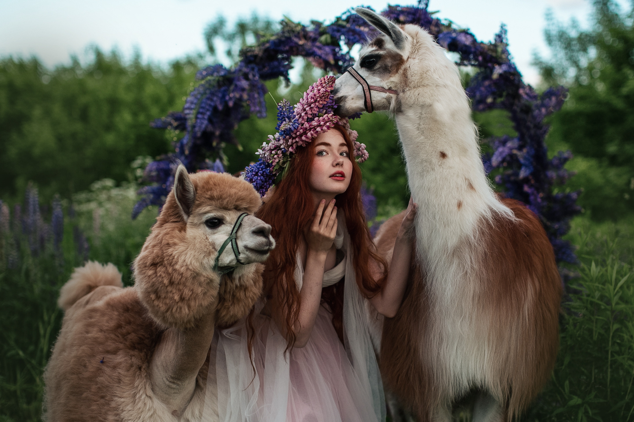 Цены и услуги фотографа. Заказать фотосессию. Профессиональный фотограф в Москве Наталья Белова