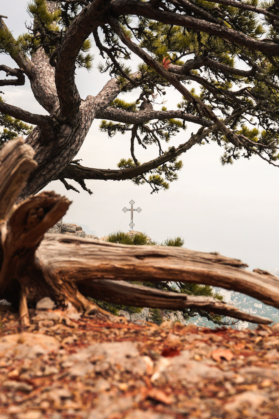 Боткинская тропа. Фотограф из Москвы — DASHA NOVA | Авторская фотография в разных жанрах