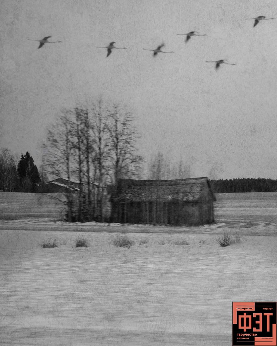 Альбом 29.03.26 в рамках ФЭТ