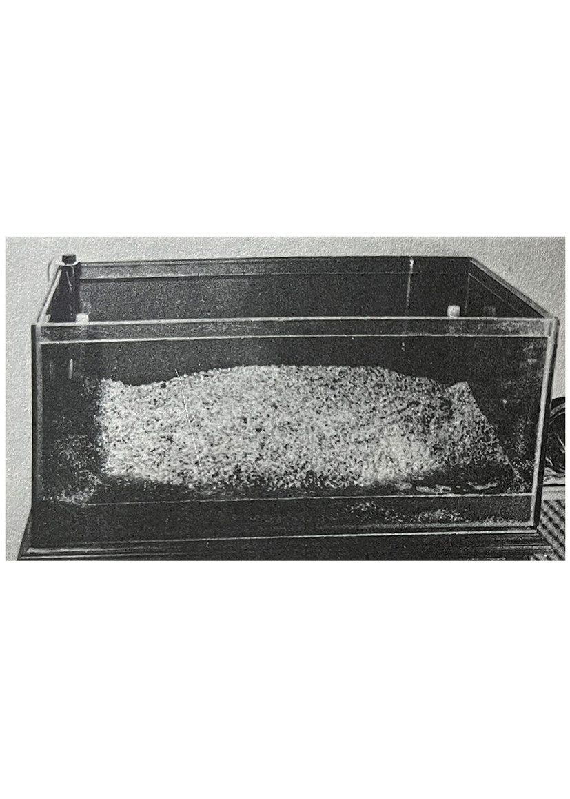 Таня Щербинина «Strange landscapes». Самоорганизация Низина