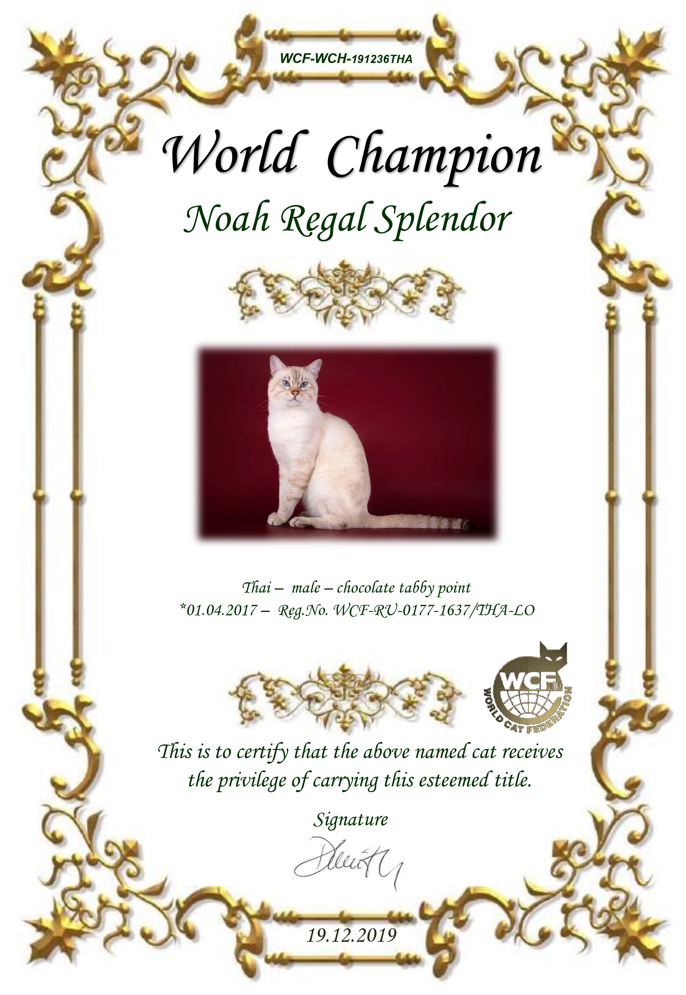 Наш кот. Питомник тайских кошек в Санкт-Петербурге Noyland