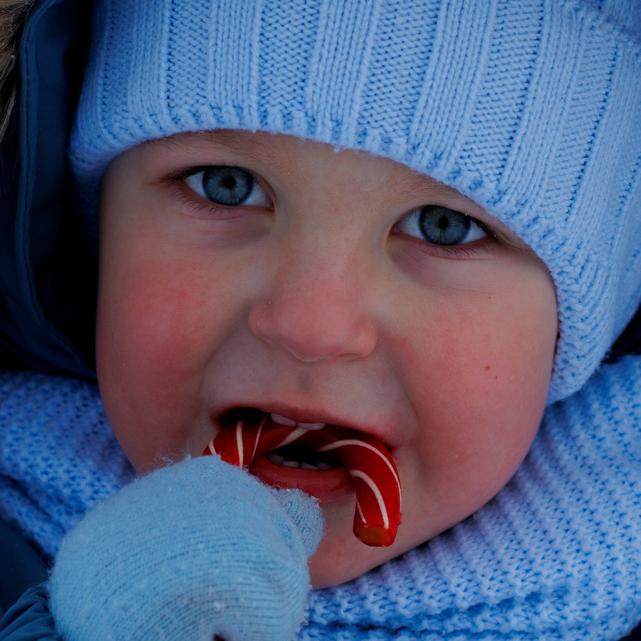 Услуги. Семейный и детский фотограф в Туле