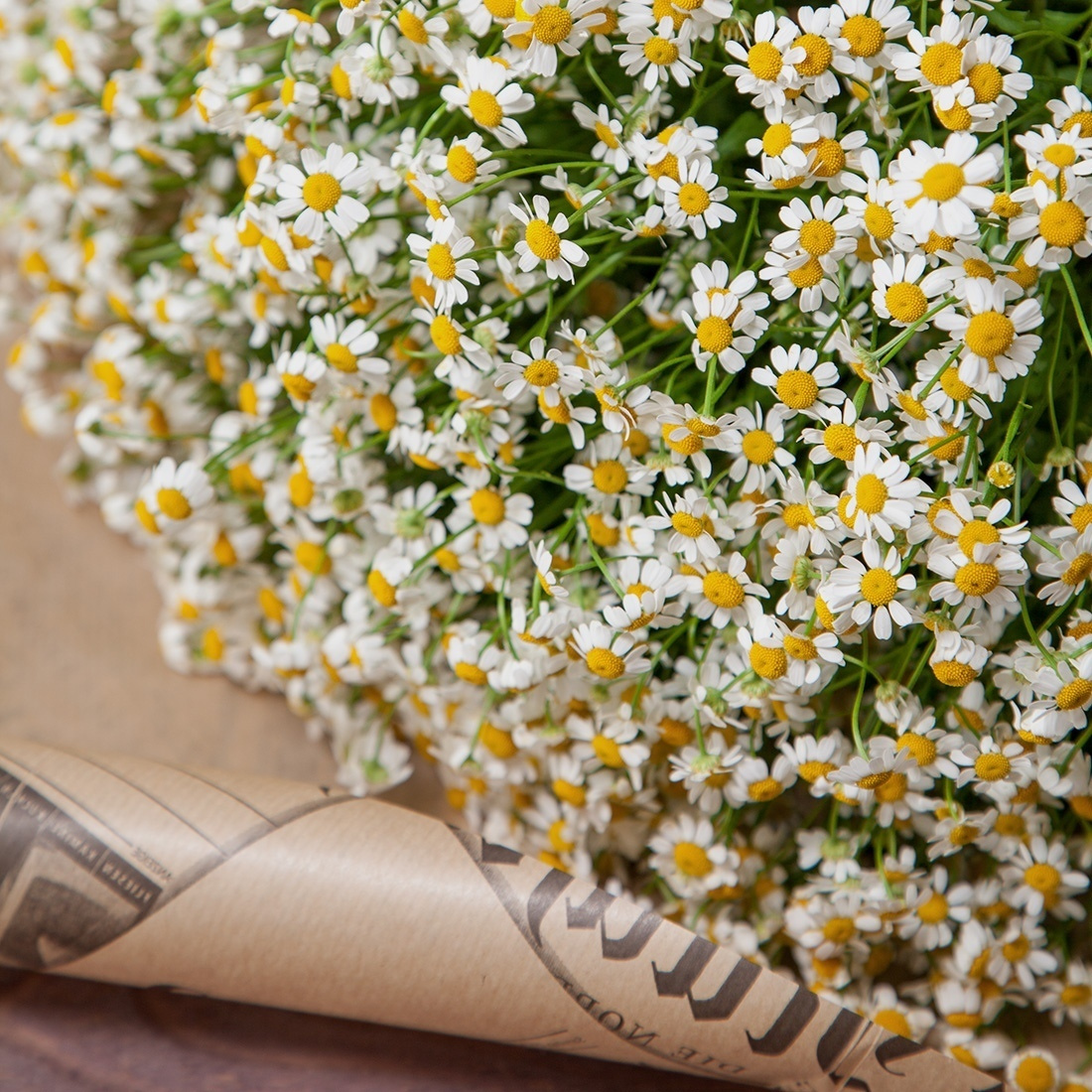 Букет мелкие ромашки. Флорист Маргарита Гладкова
