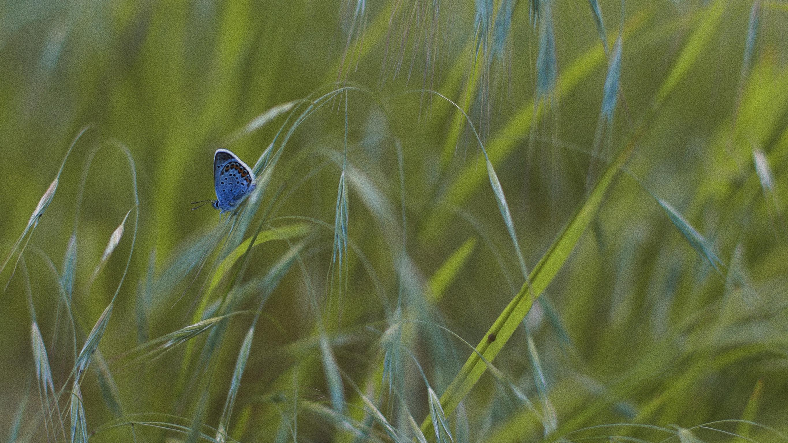 Фотограф Ростов-на-Дону