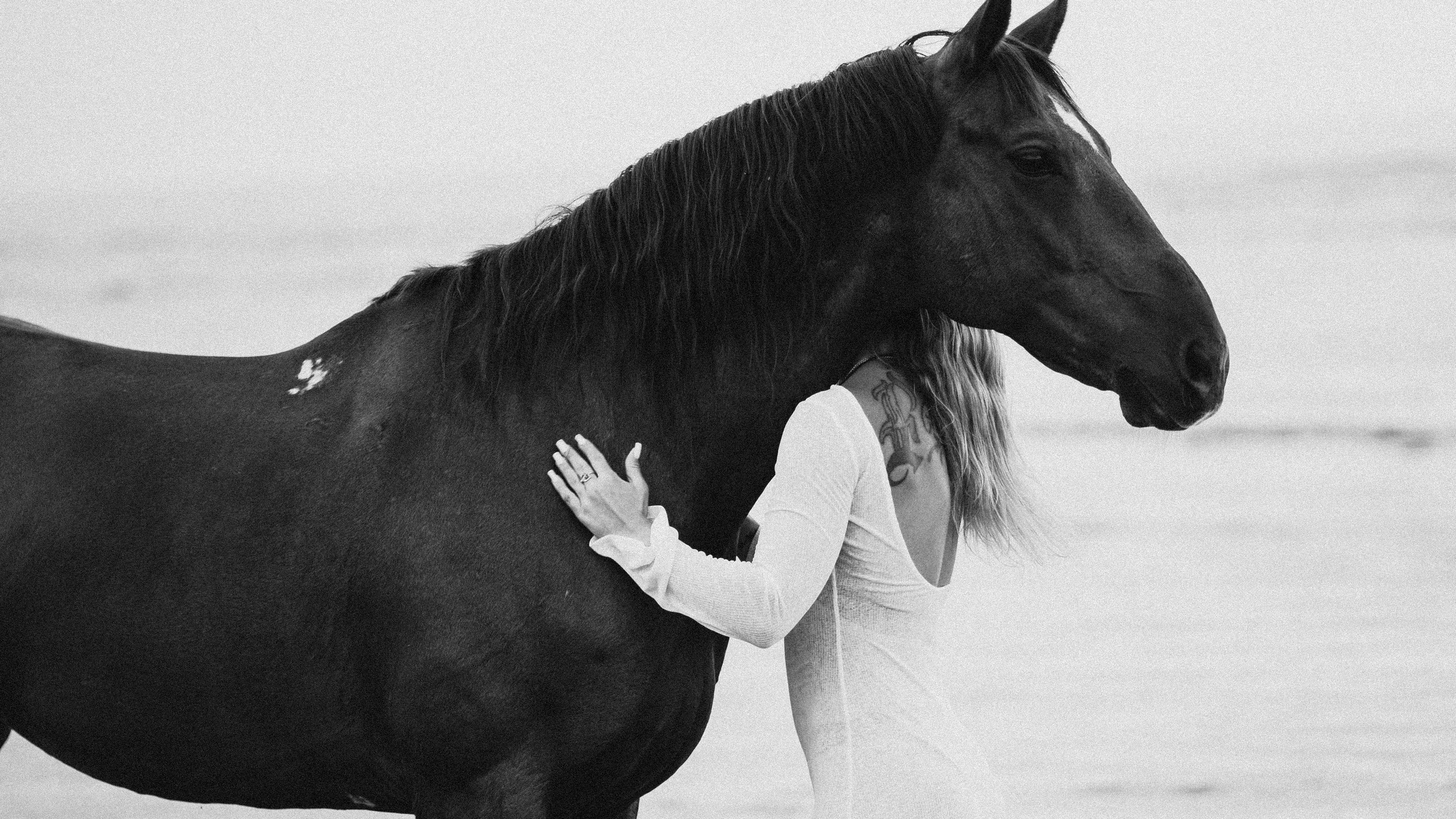 Намекни на подарок. Фотограф Санкт-Петербург Кристина Доценко