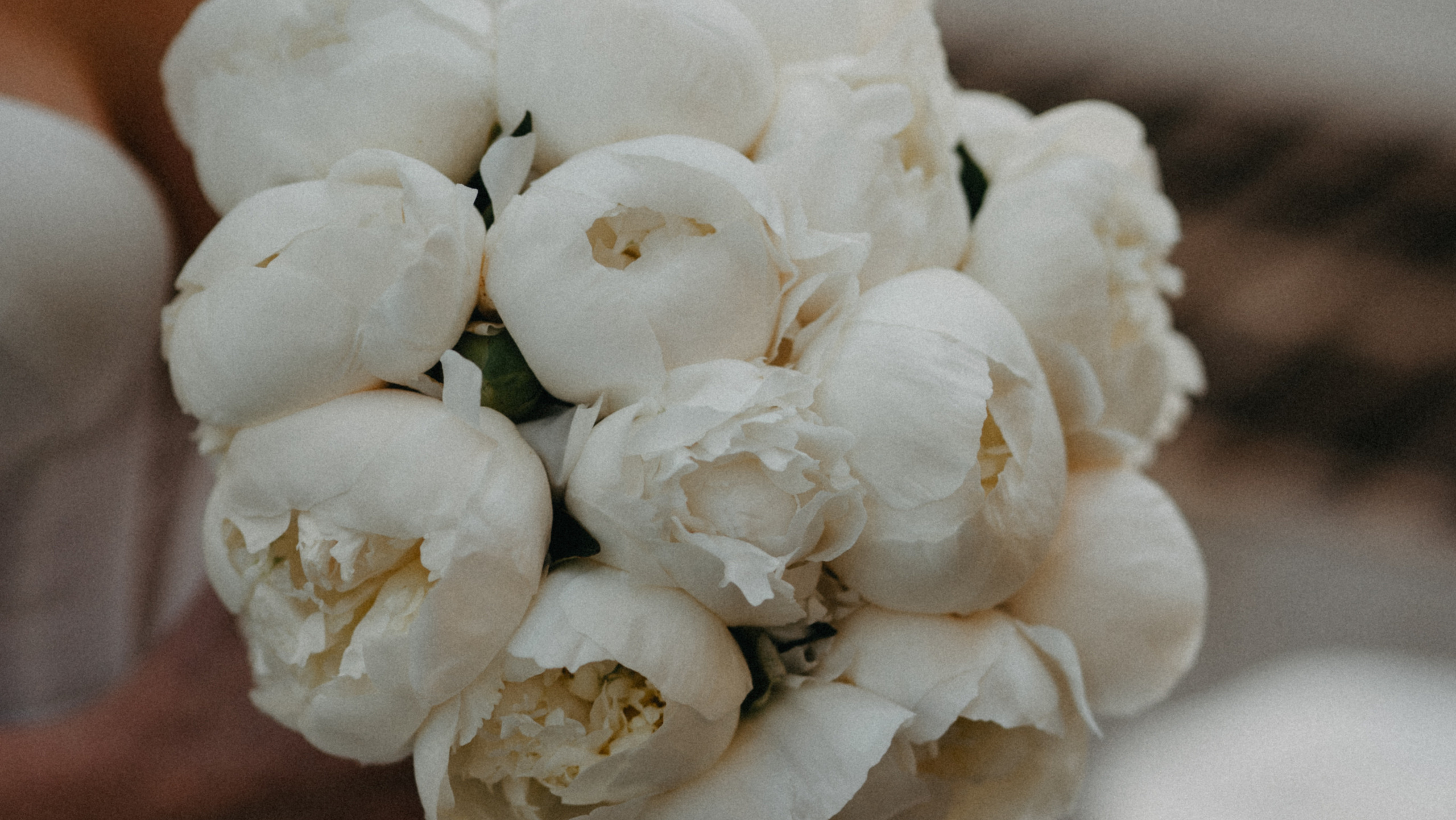 Стоимость. Фотограф Санкт-Петербург Кристина Доценко