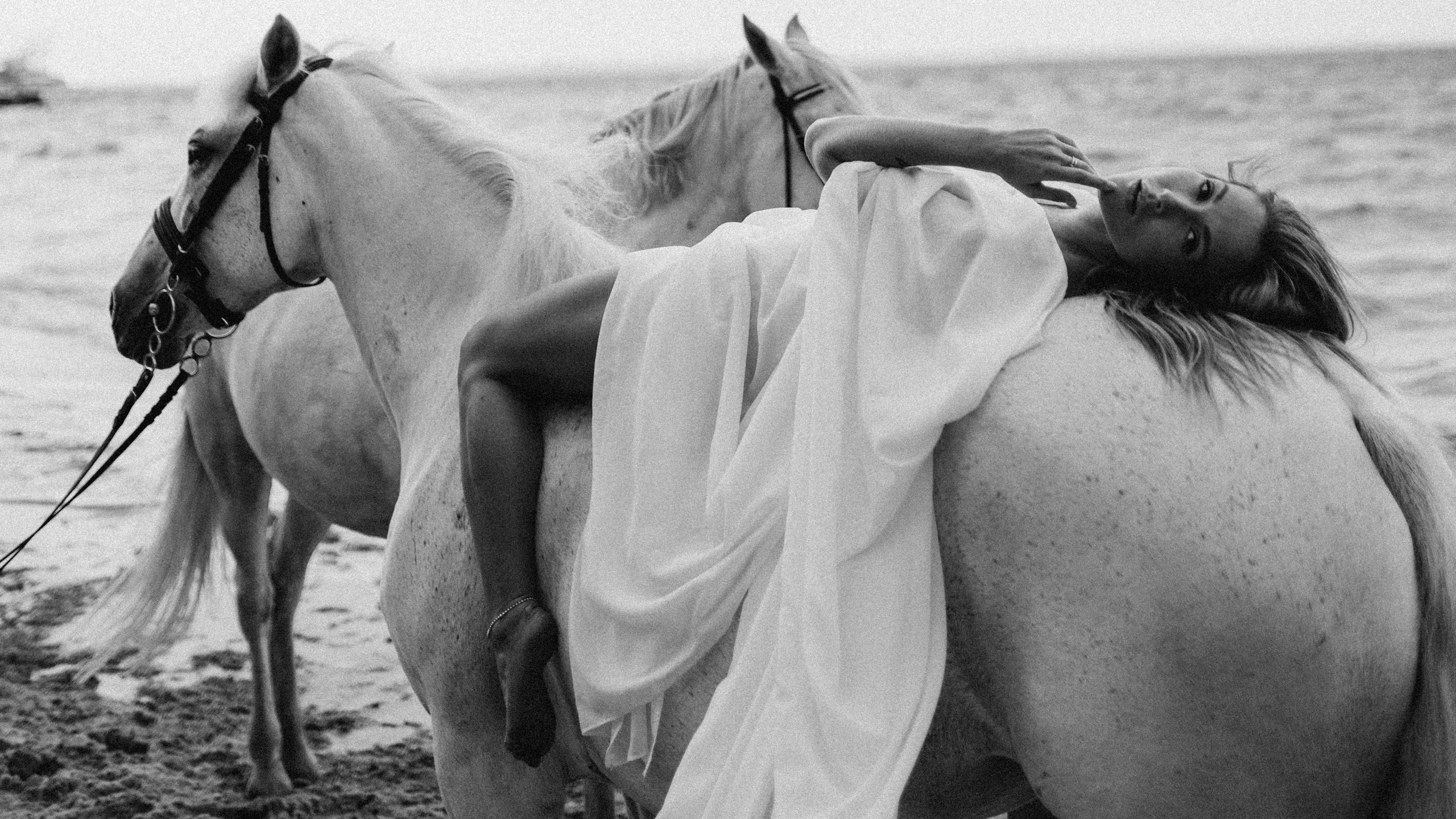 Photographer Croatia Photograper Rijeka Photo horses love story Kristina Dotsenko Кристина Доценко