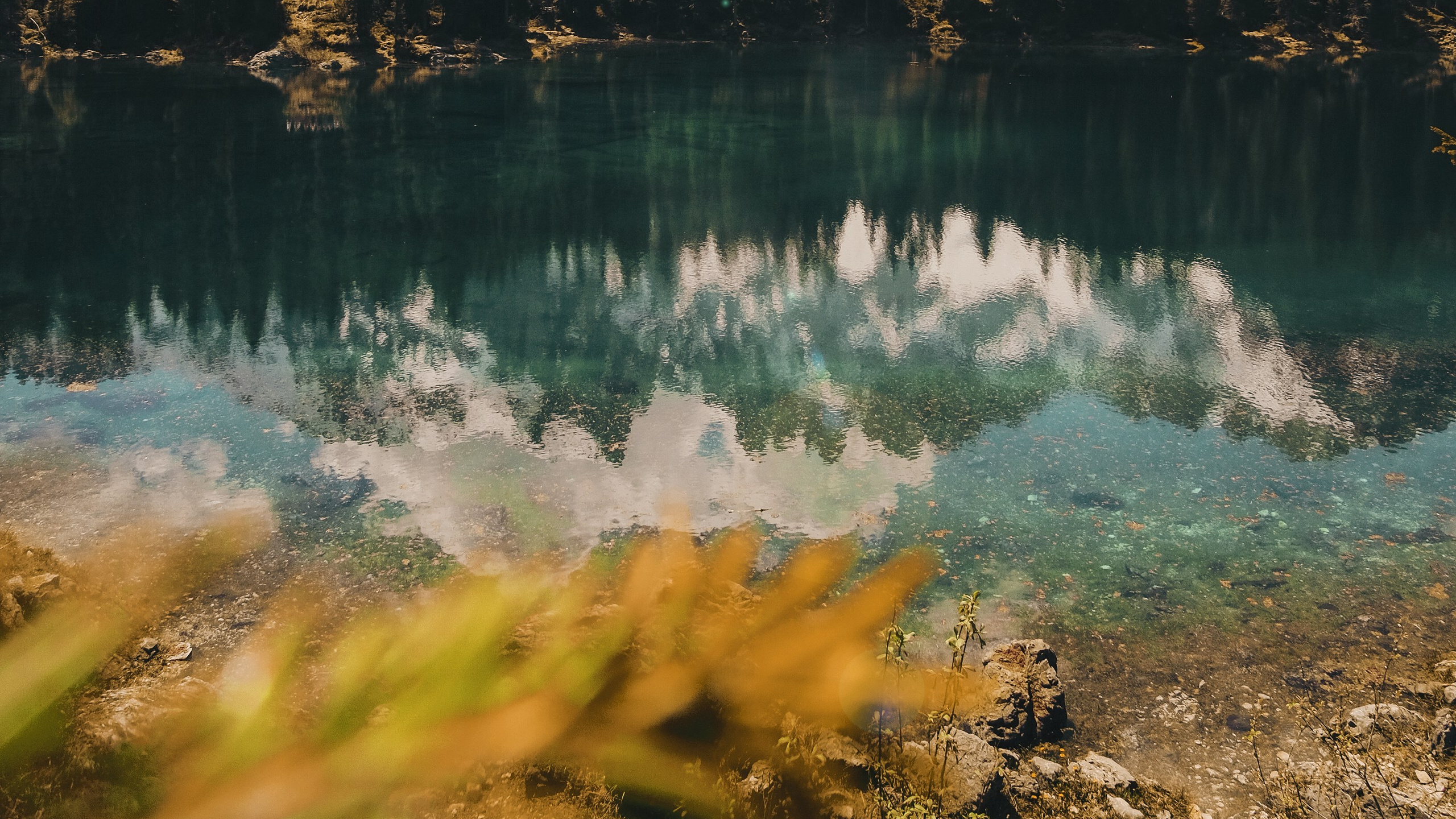 Тур на Алтай —  с комфортом летом