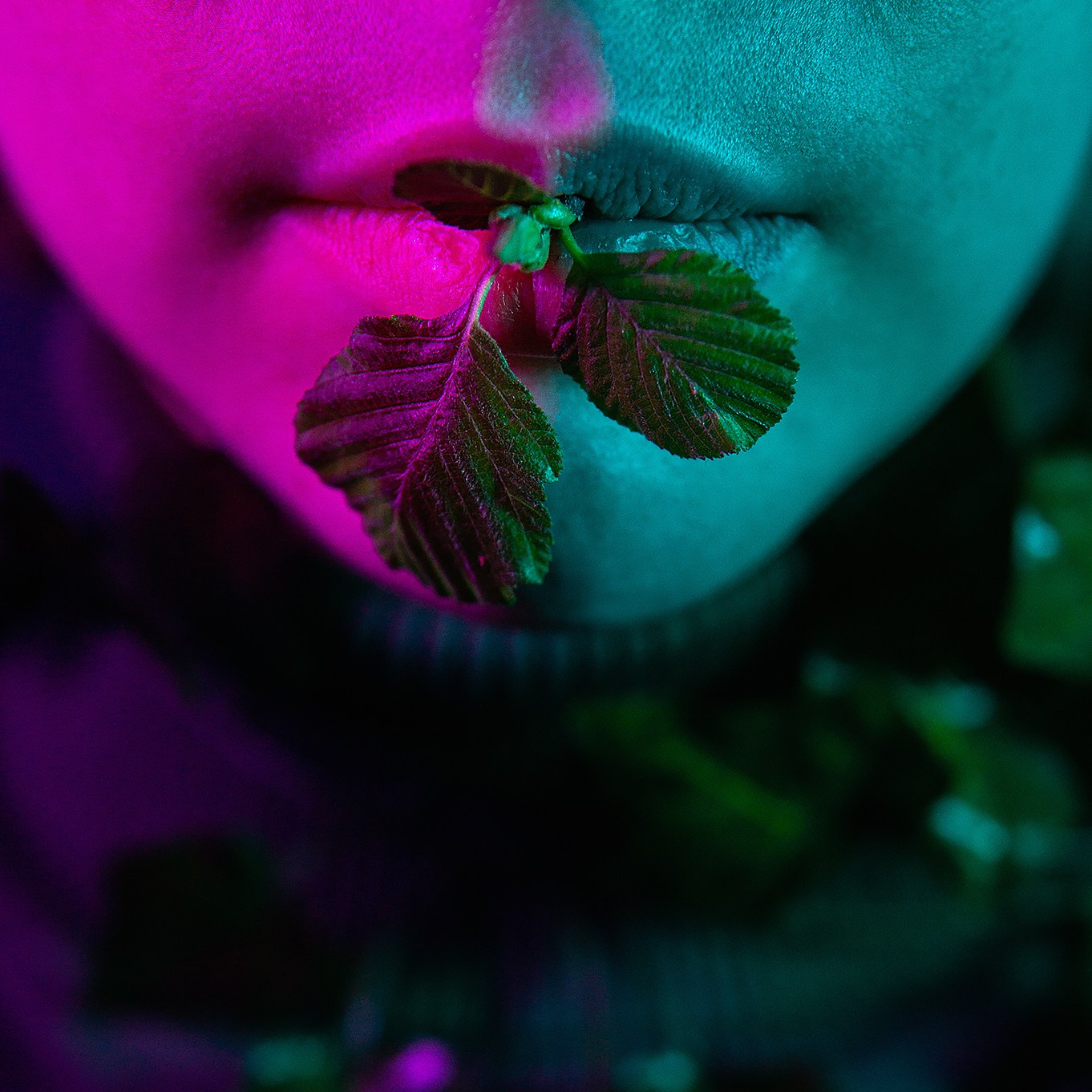 Услуги. Фотограф в Санкт-Петербурге и ЛО Егор Ставер