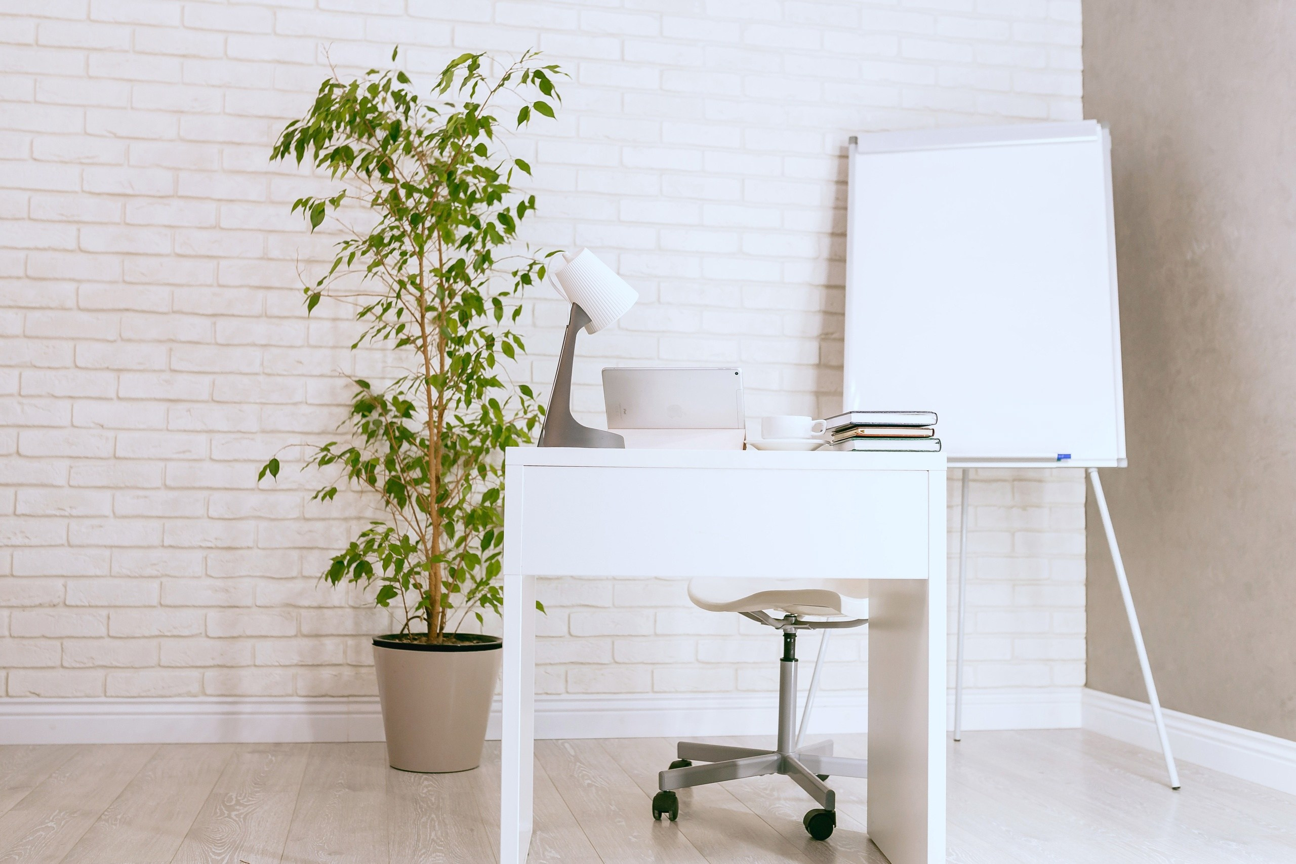 Список фотостудий Нижнего Новгорода. Сайты и цены. Фотограф Олеся Мочалова. Москва. Нижний Новгород