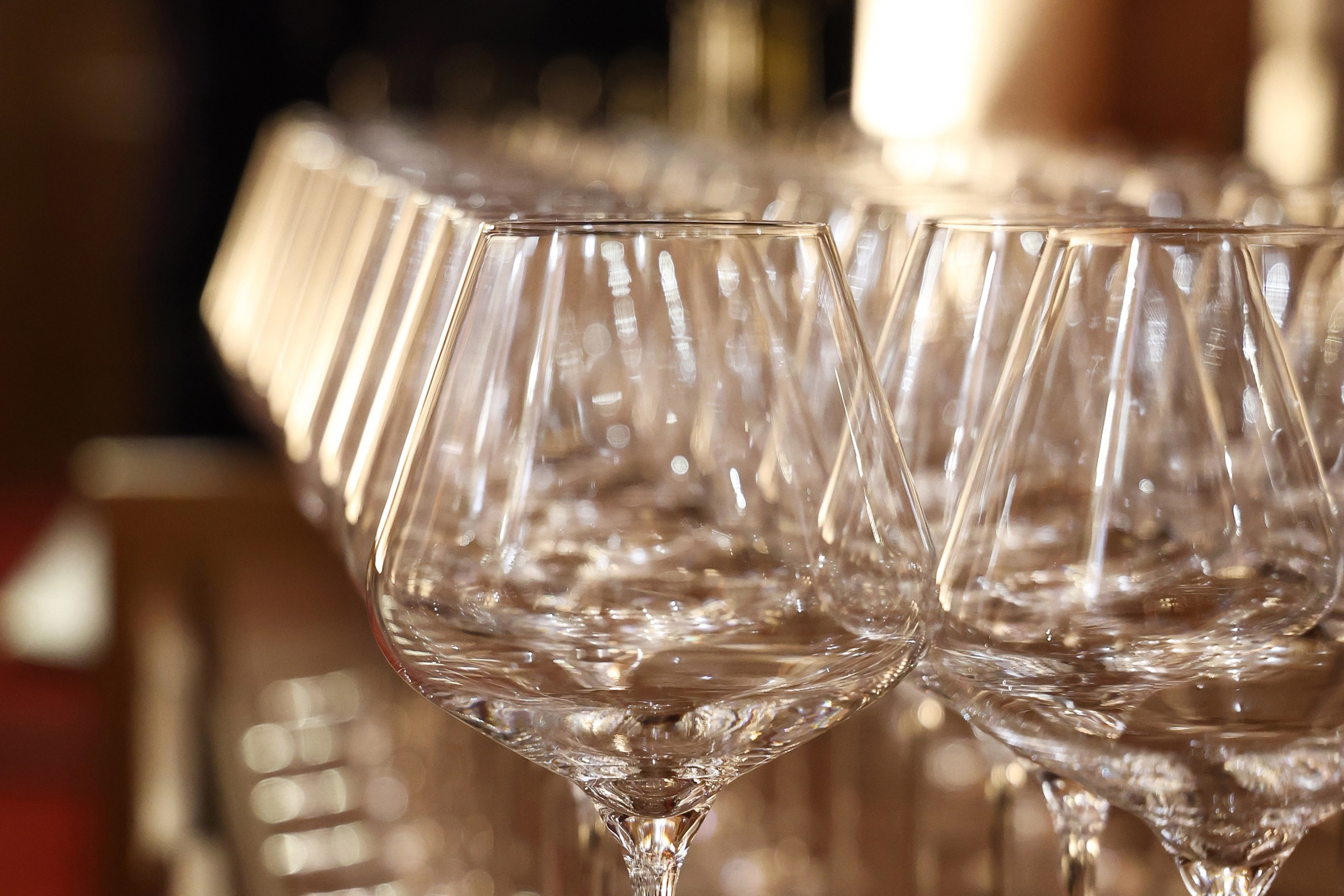 Организация винного квеста Москва СПБ на праздник