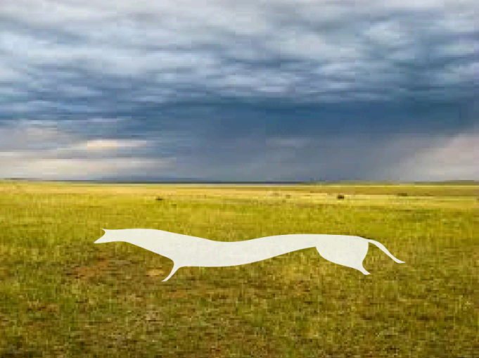 Белый конь в Донской степи. Архив нереализованных идей