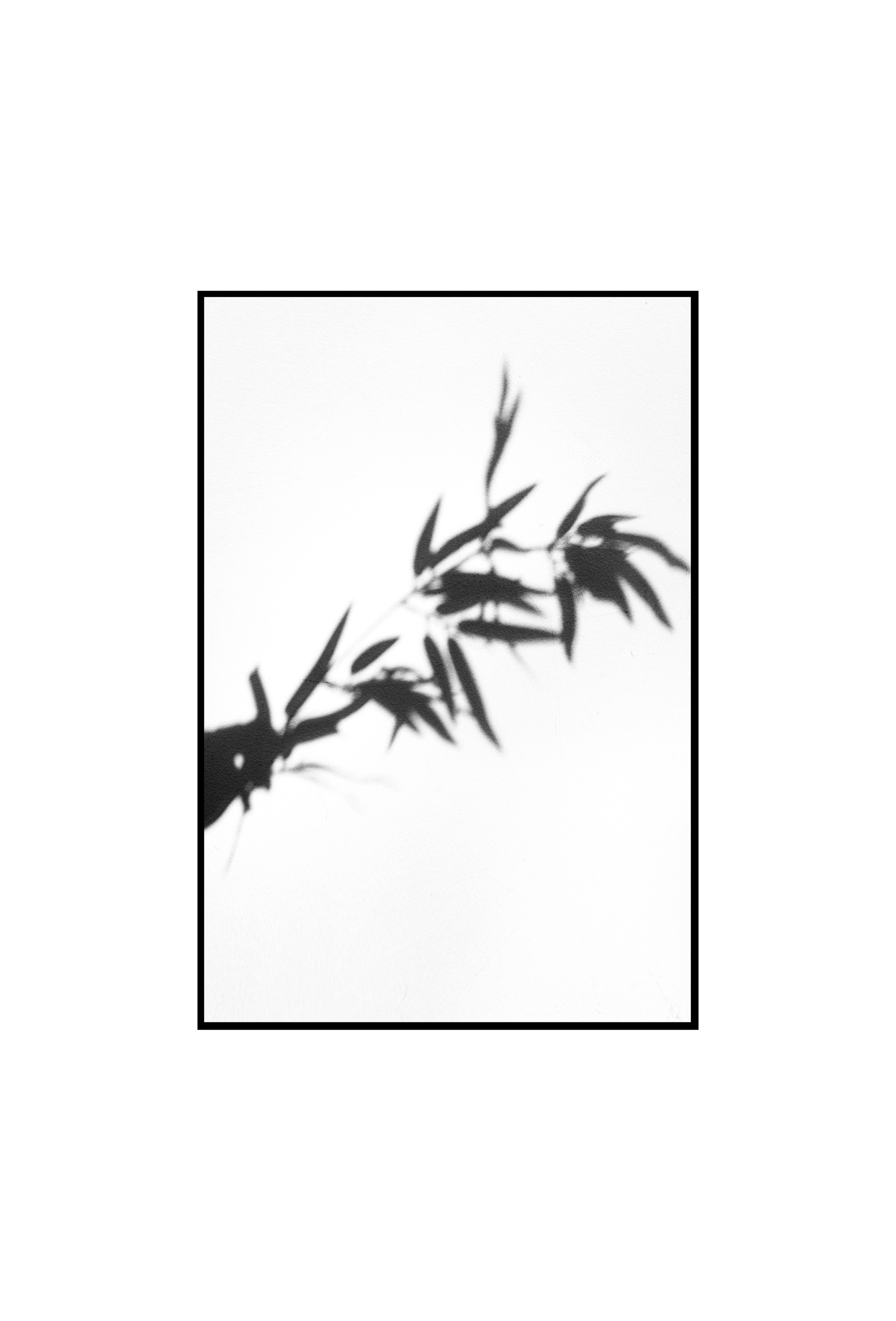 небо ночью, Полярная звезда