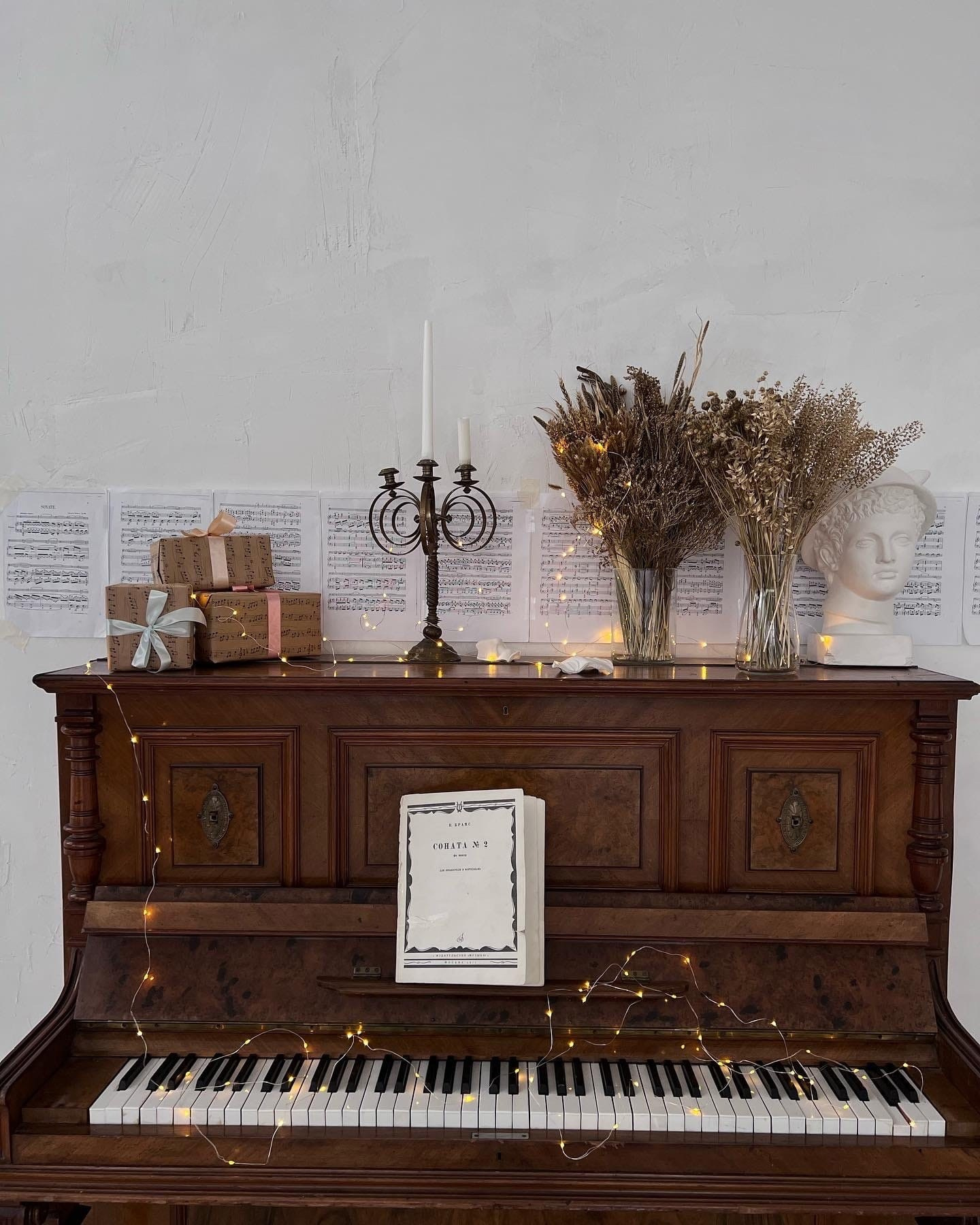 Новогодние фотосъемки. Семейный фотограф. Великанова Ирина. Санкт-Петербург. Пушкин