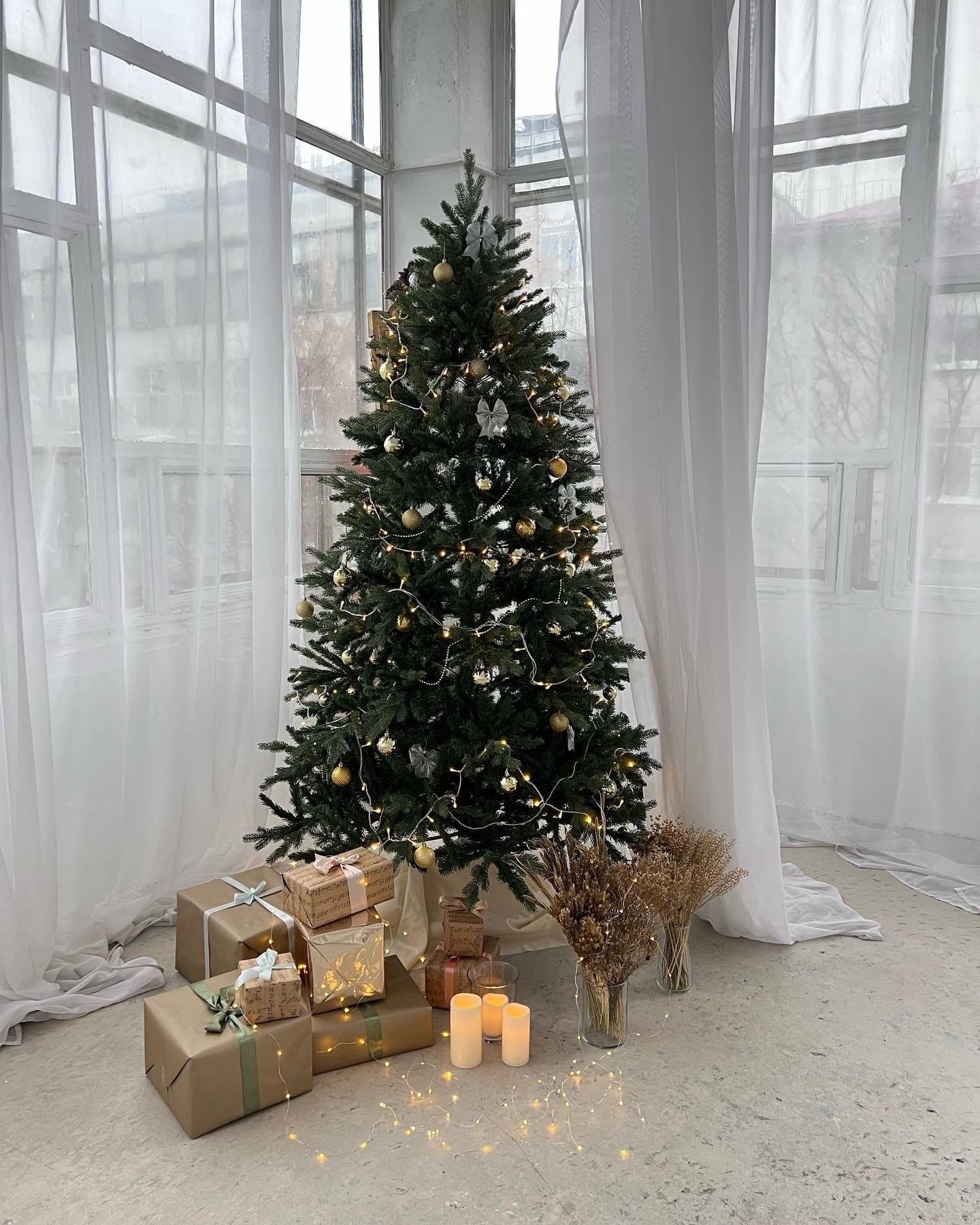 Новогодние фотосъемки. Семейный фотограф. Великанова Ирина. Санкт-Петербург. Пушкин