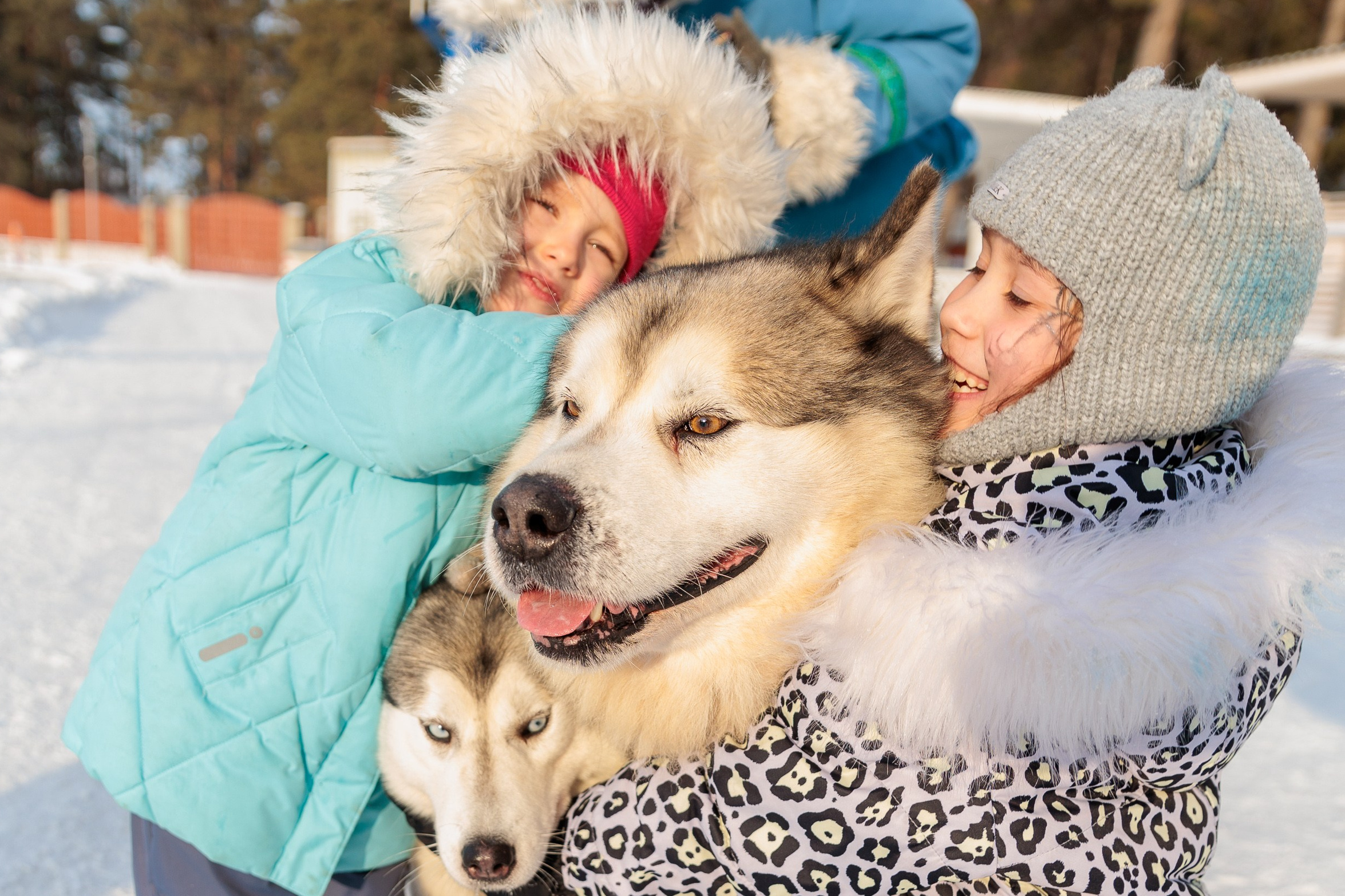 Репортаж. Серия 54