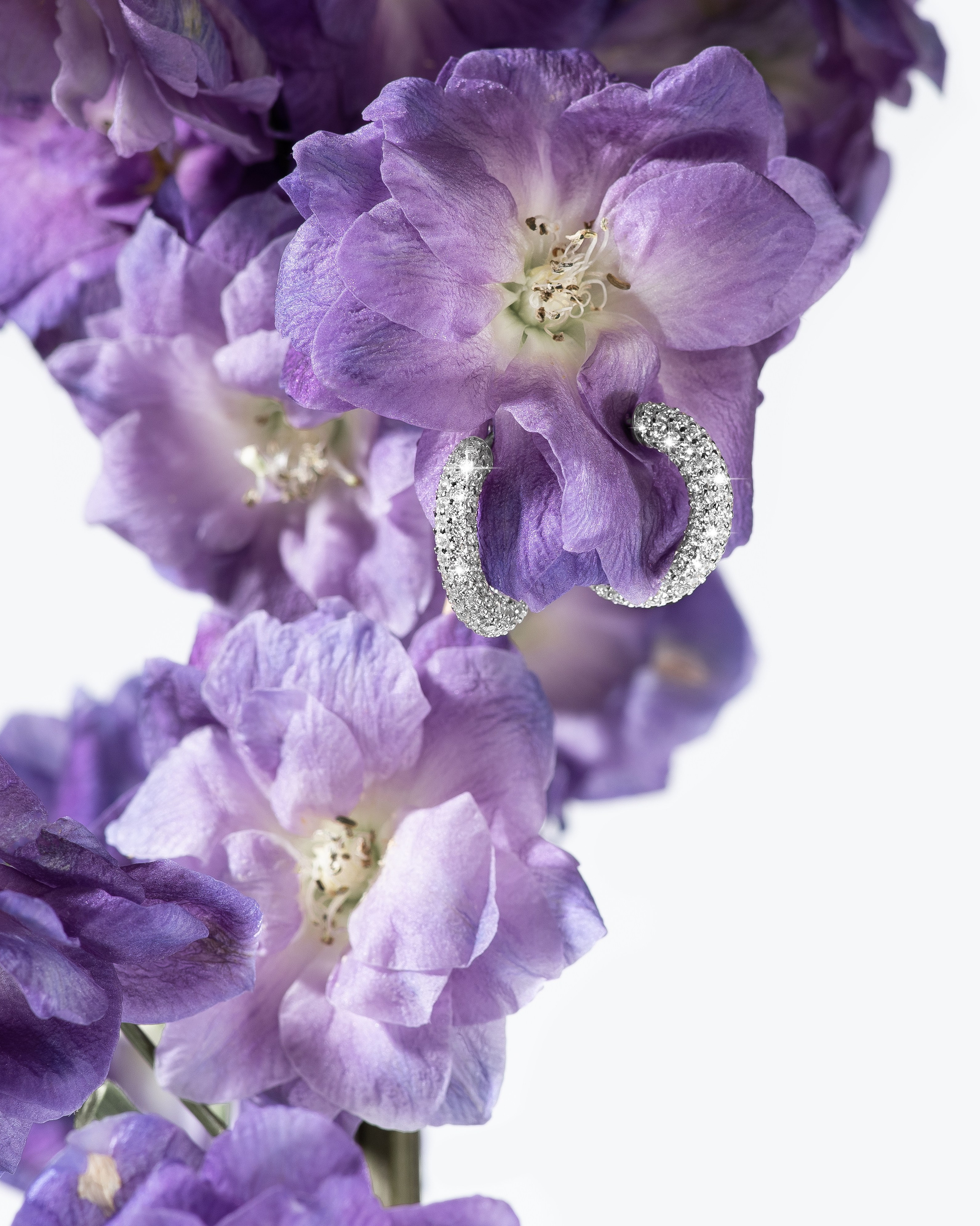 Почему предметные фотографии требуют много времени?. Предметная фотография