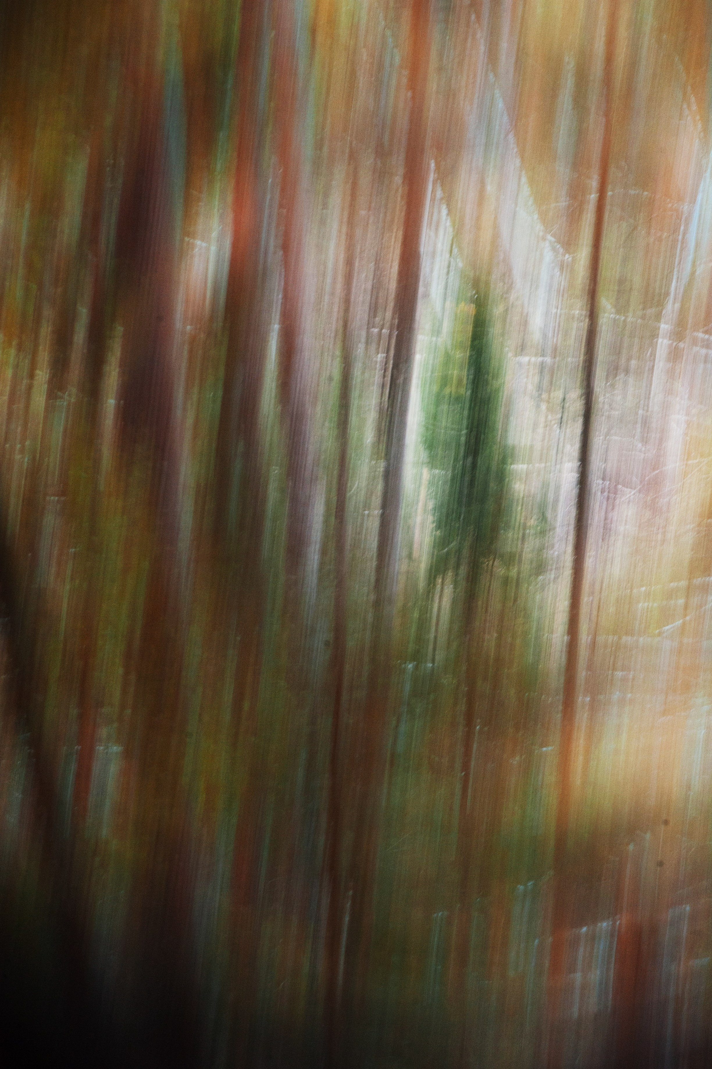 Работы, сделанные в Арт-резиденции «Красноярские столбы». Арт-фотография, терапевтическая фотография в Москве. Фотограф Анна Ермолова