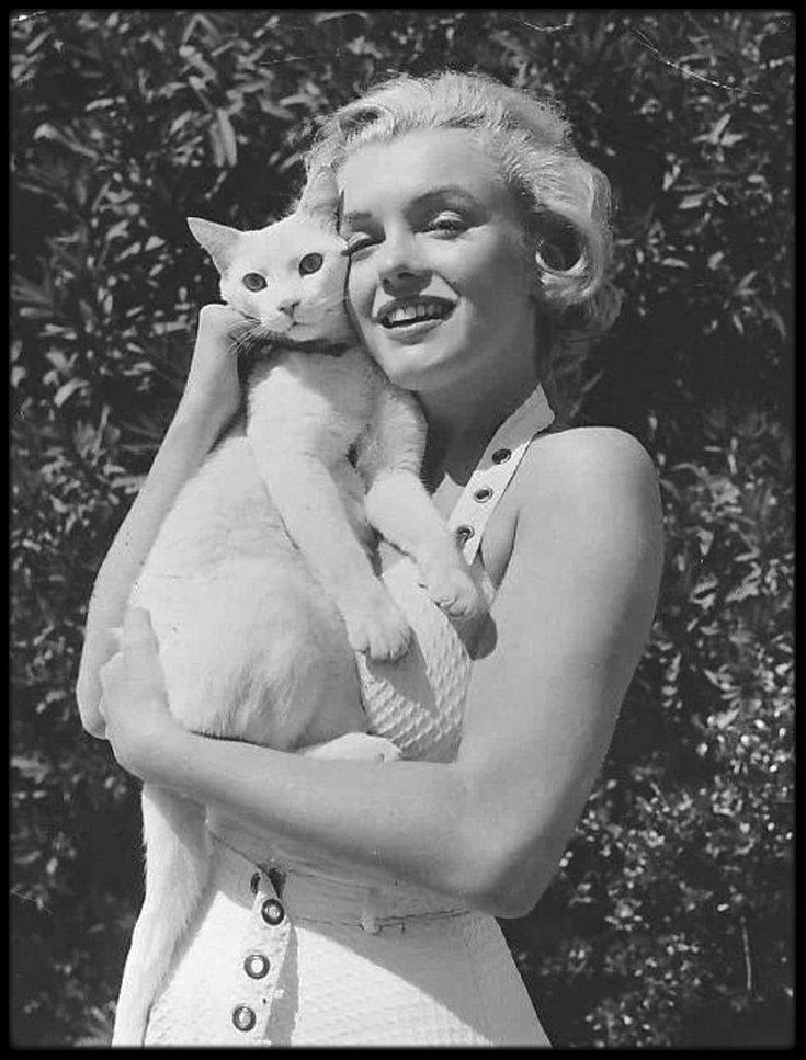 Мерлин Монро. Фотограф анималист в Санкт-Петербурге Таша Крейв