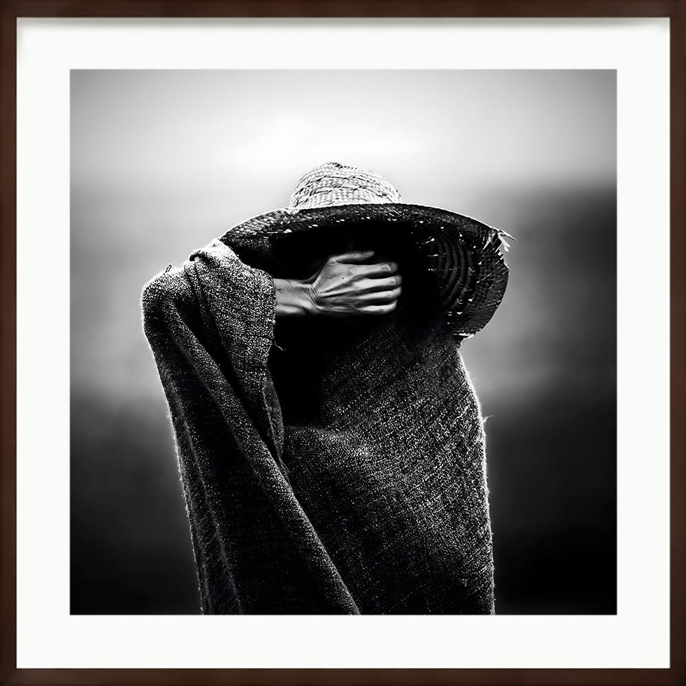 Авторские картины — Каталог