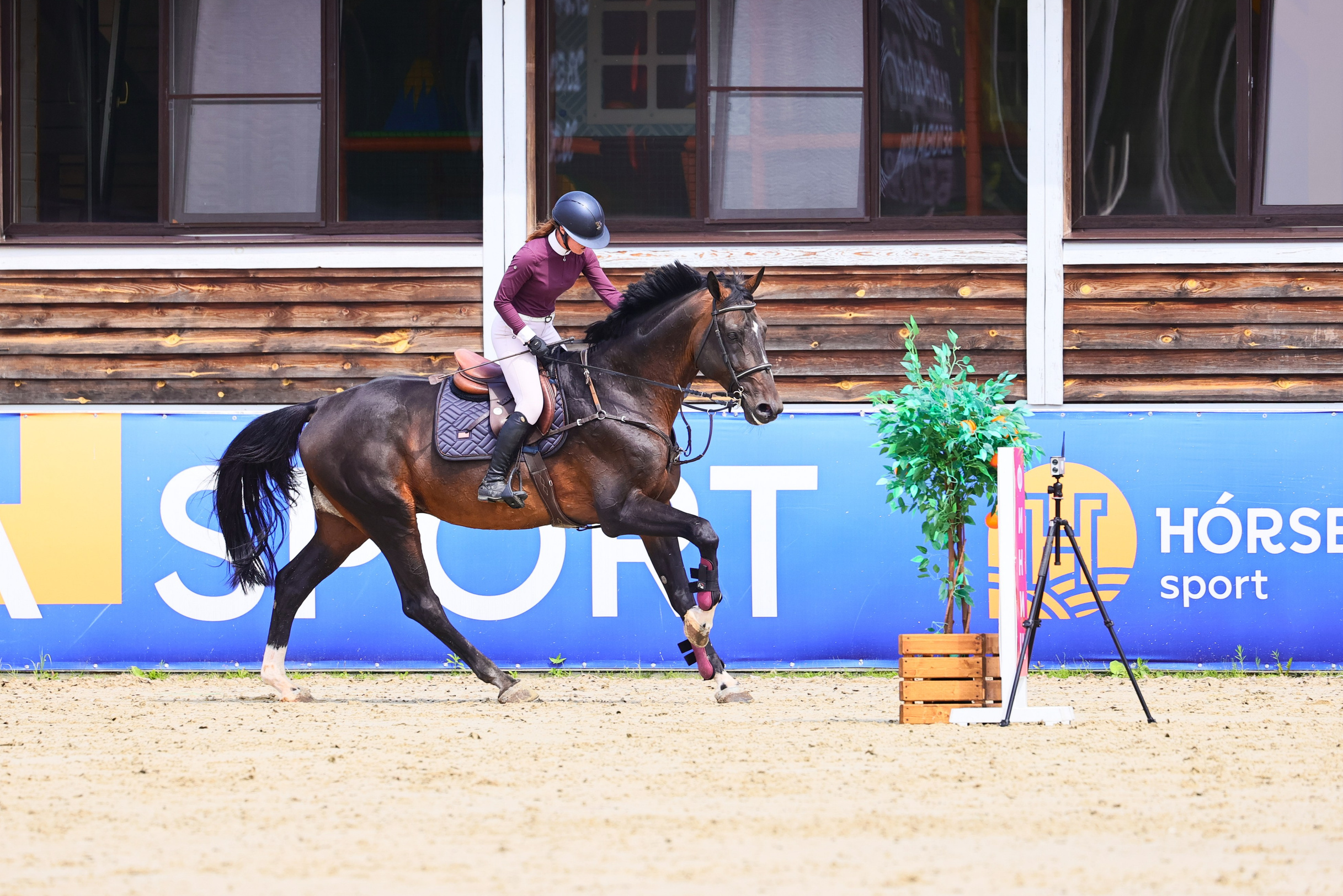 Купить фотографии с турниров. KatymartArt — Equine photography