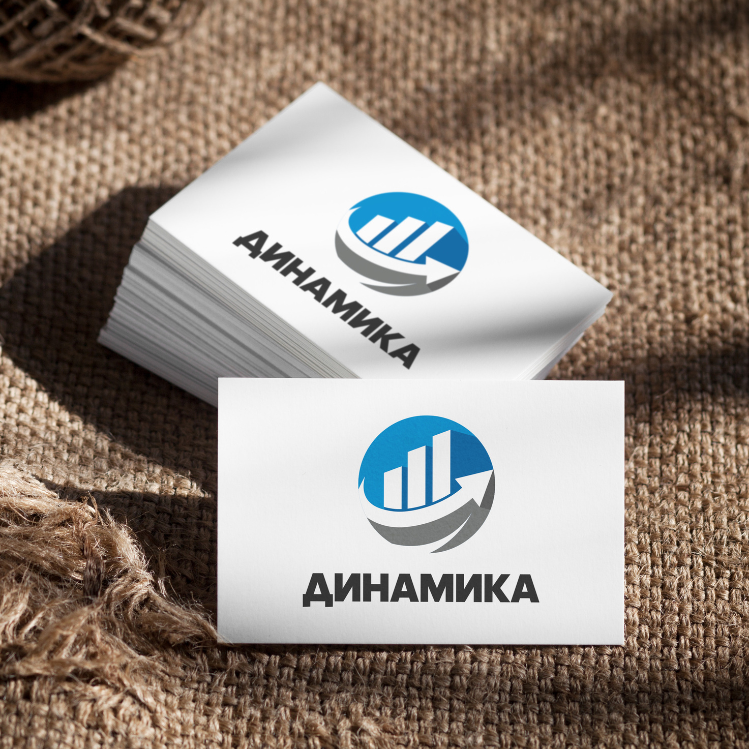 ЛОГО/галерея. • Blue Feather • фотография, графический дизайн, Комсомольск-на-Амуре