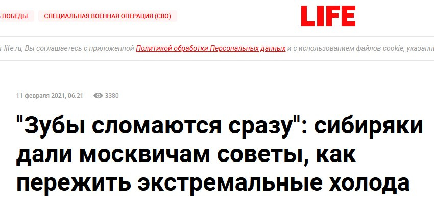 ПРЕССА ОБО МНЕ. Фотограф Дмитрий ЛЯШЕЕВ