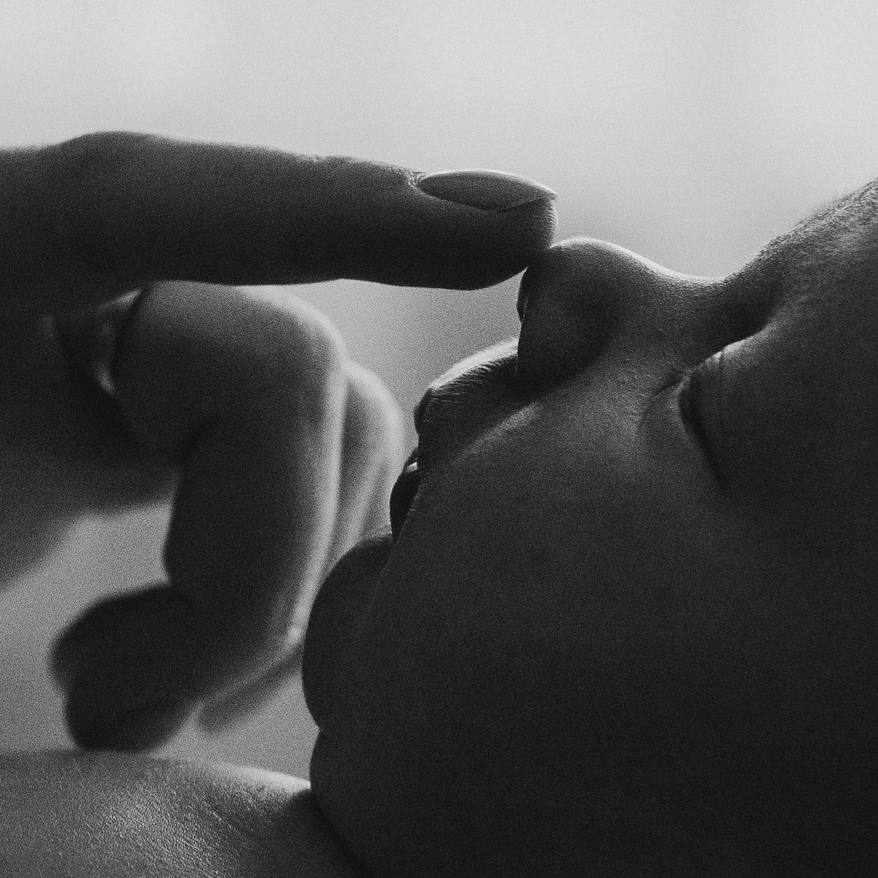 Стоимость. Семейный фотограф в Рязани Харламова Влада