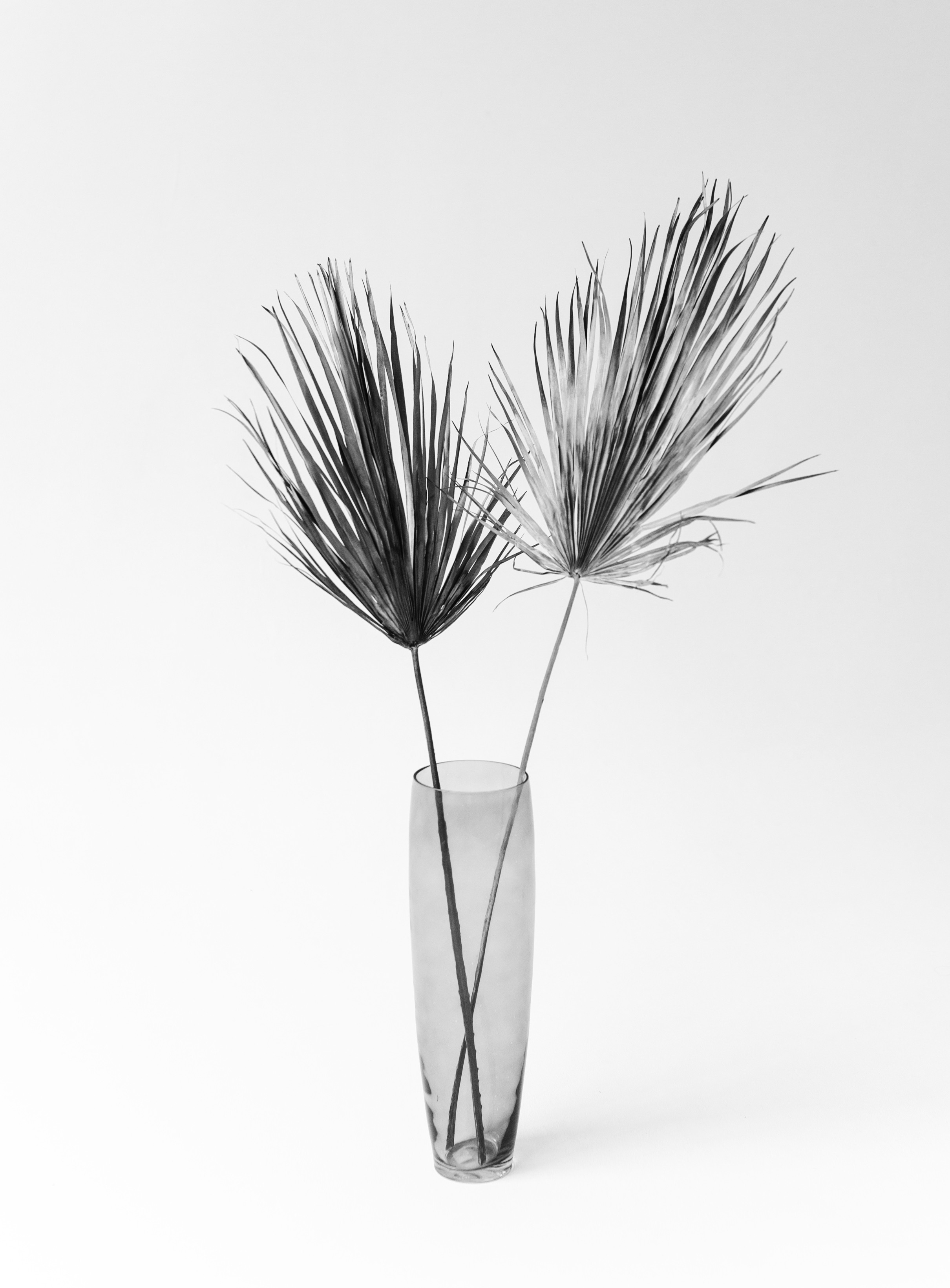 Контакты. Portrait photography