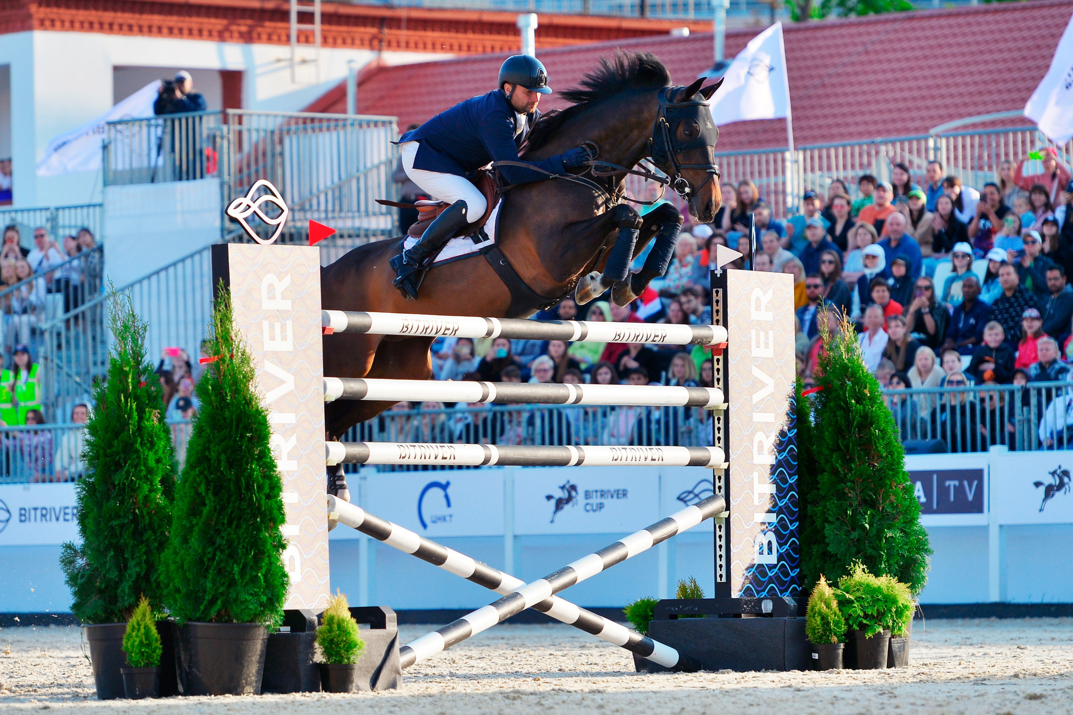 Репортажи. Конный фотограф Alesya Safe