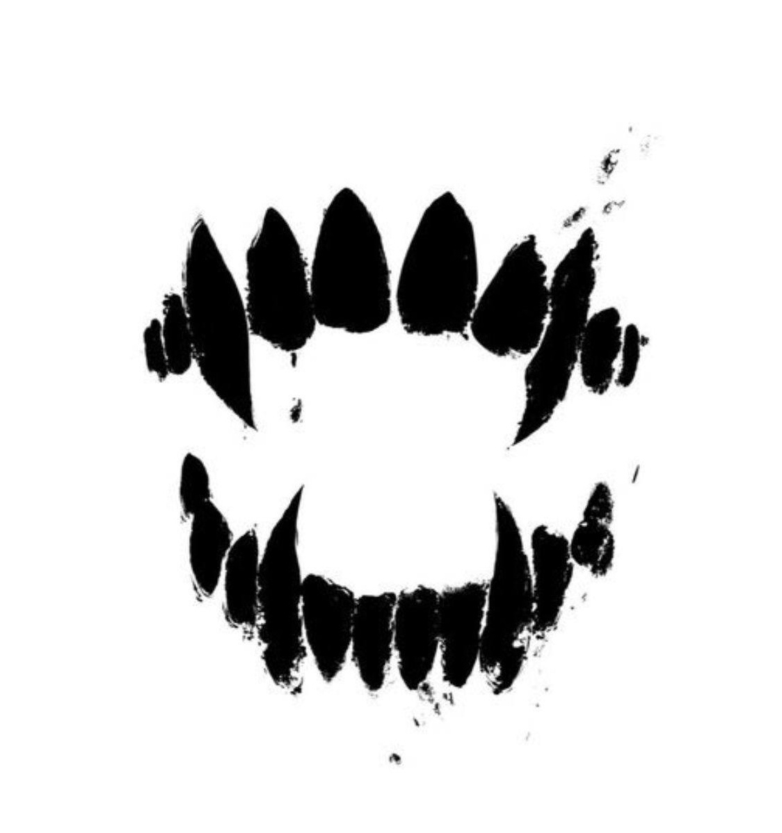 Контакты. Фотограф СПБ