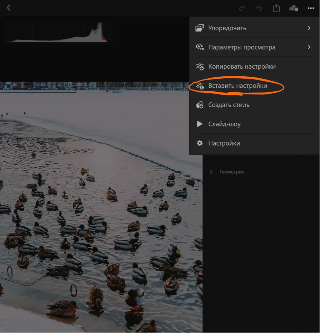 Установить перемёты на телефон. Фотограф Сиражев Карымсак. Фотосессия, бизнес портреты