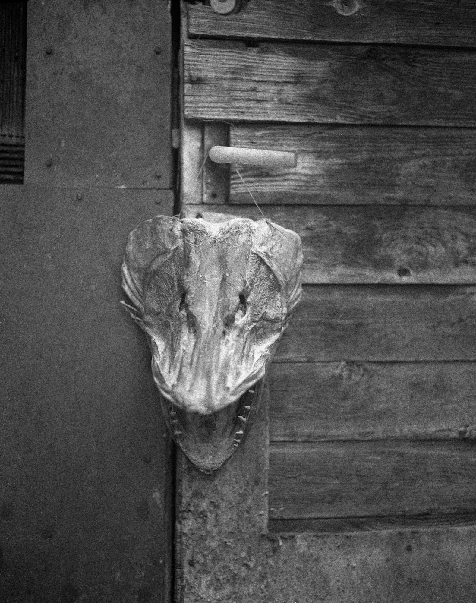 The voice of cold water. Vika Bykovskaya photography