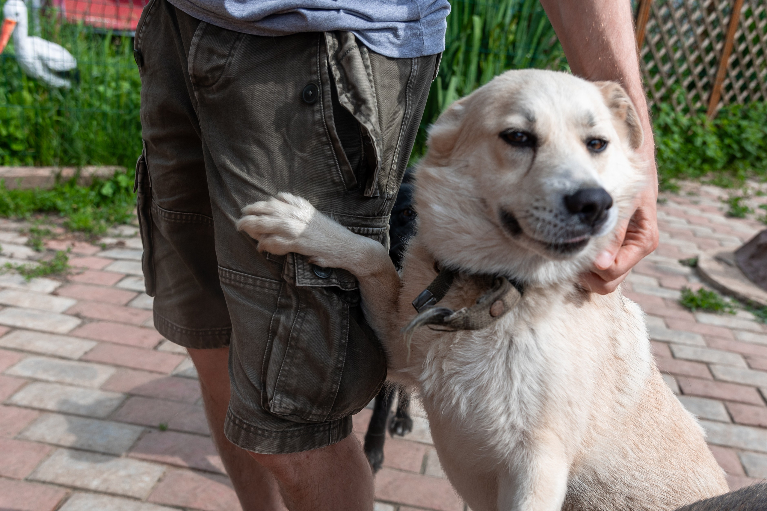Priyut-gostinica. Professional photographer Alexey Nikitin in Moscow