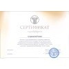 Мой путь в живописи. Художник Ромен Оганян