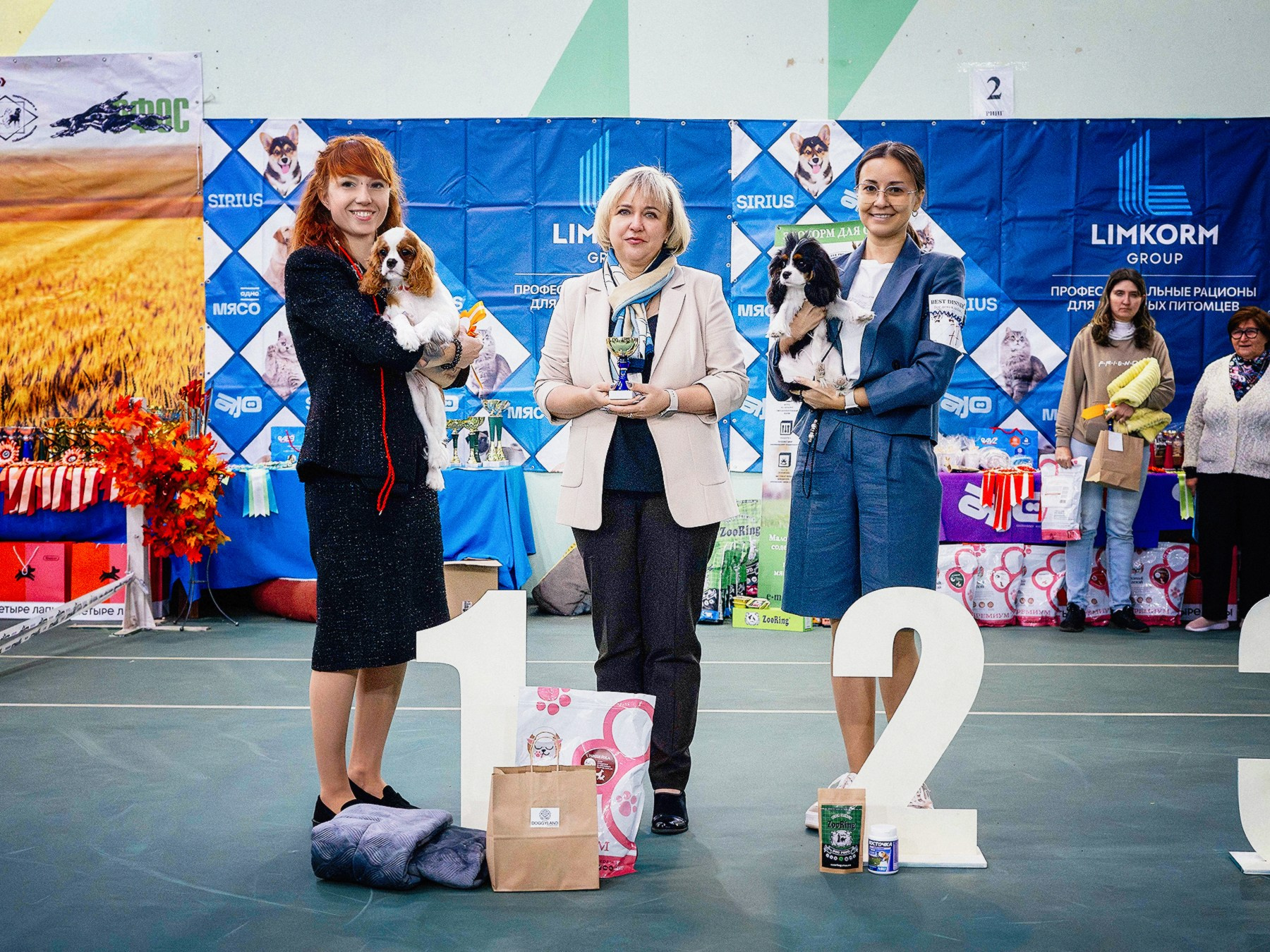 Выставки. Питомник кавалер кинг чарльз спаниелей