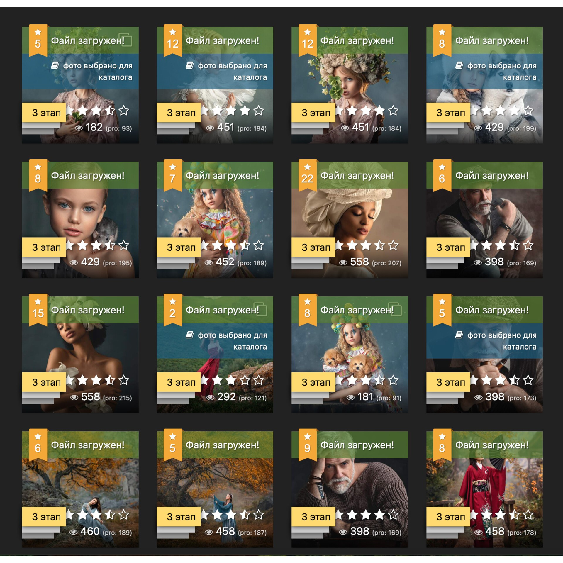 МОИ ДОСТИЖЕНИЯ. Детский и семейный фотограф Елена Михайлова в Москве