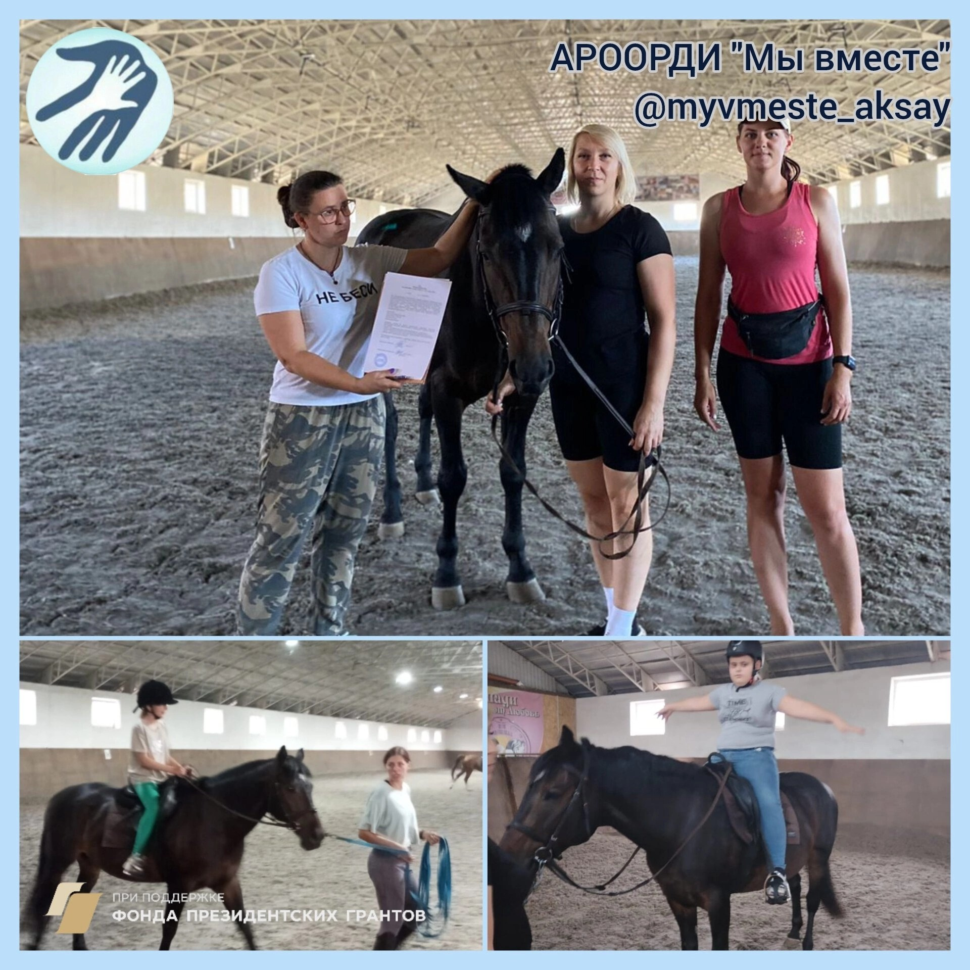 Приобретение коня по президентскому гранту