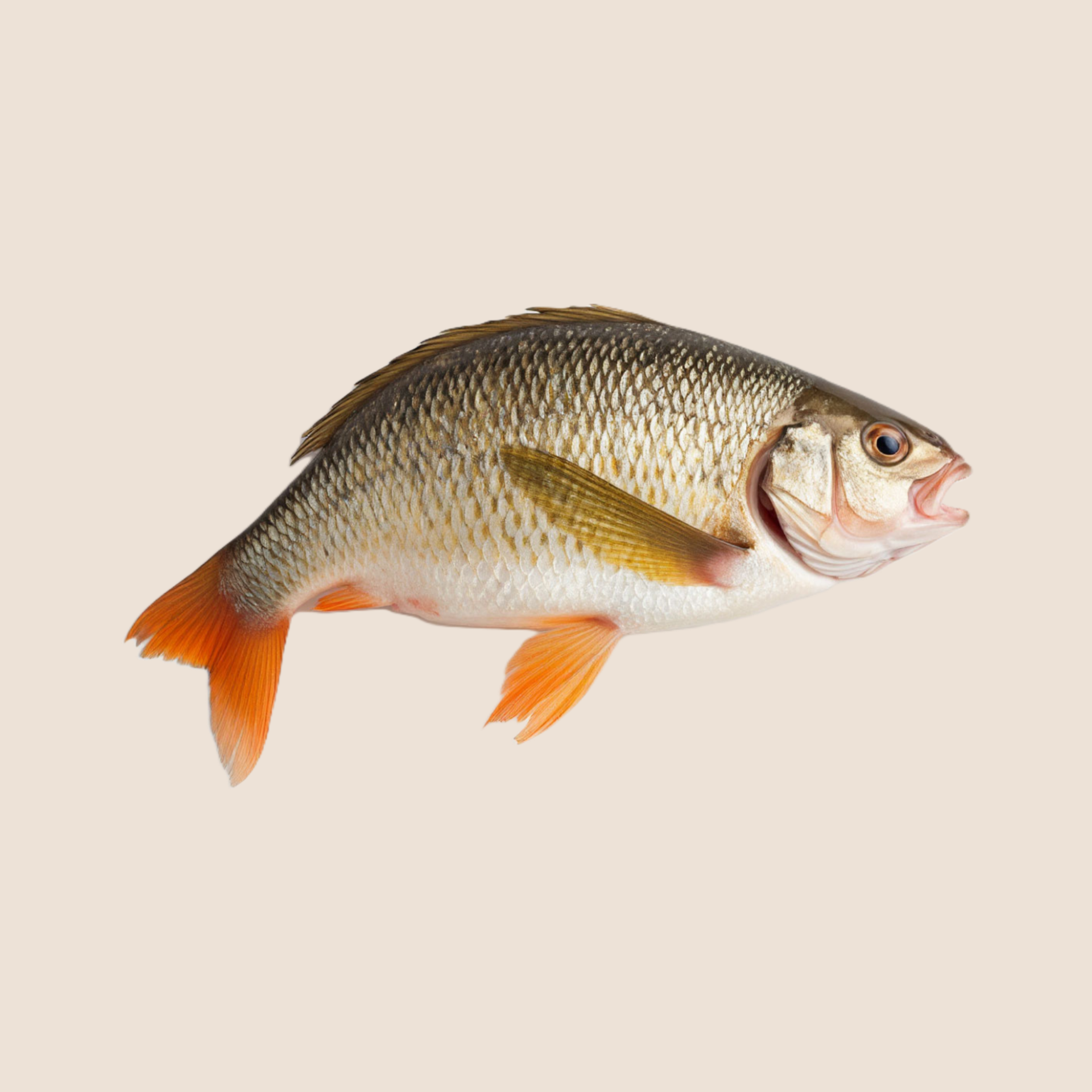 Комбикорм Каргапольский комбинат — доступное качество. Специализированный магазин кормов для животных| АГРОКОРМ КУРГАН|Комбикорм, зерно, сено